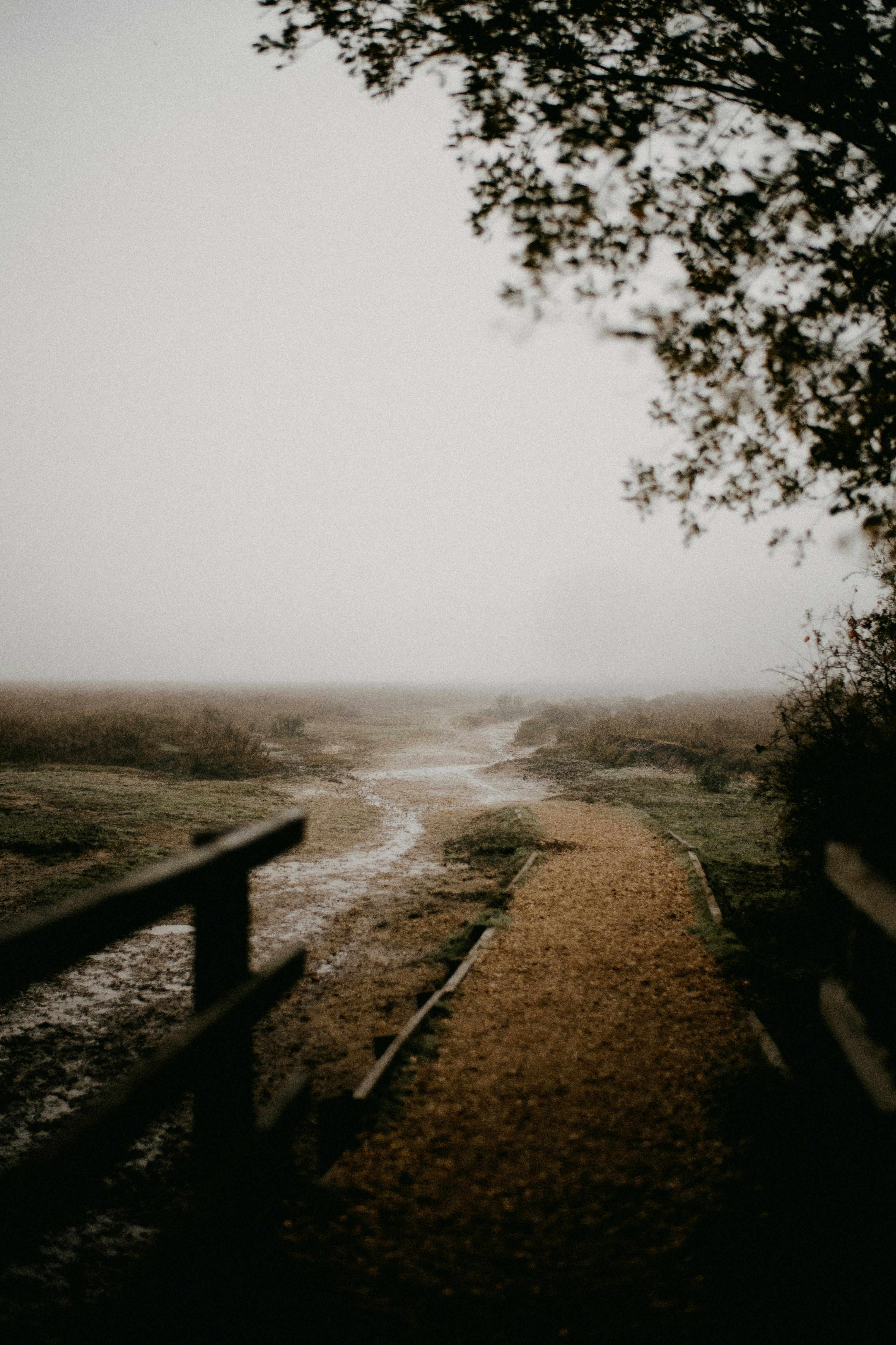 Photo by anniespratt