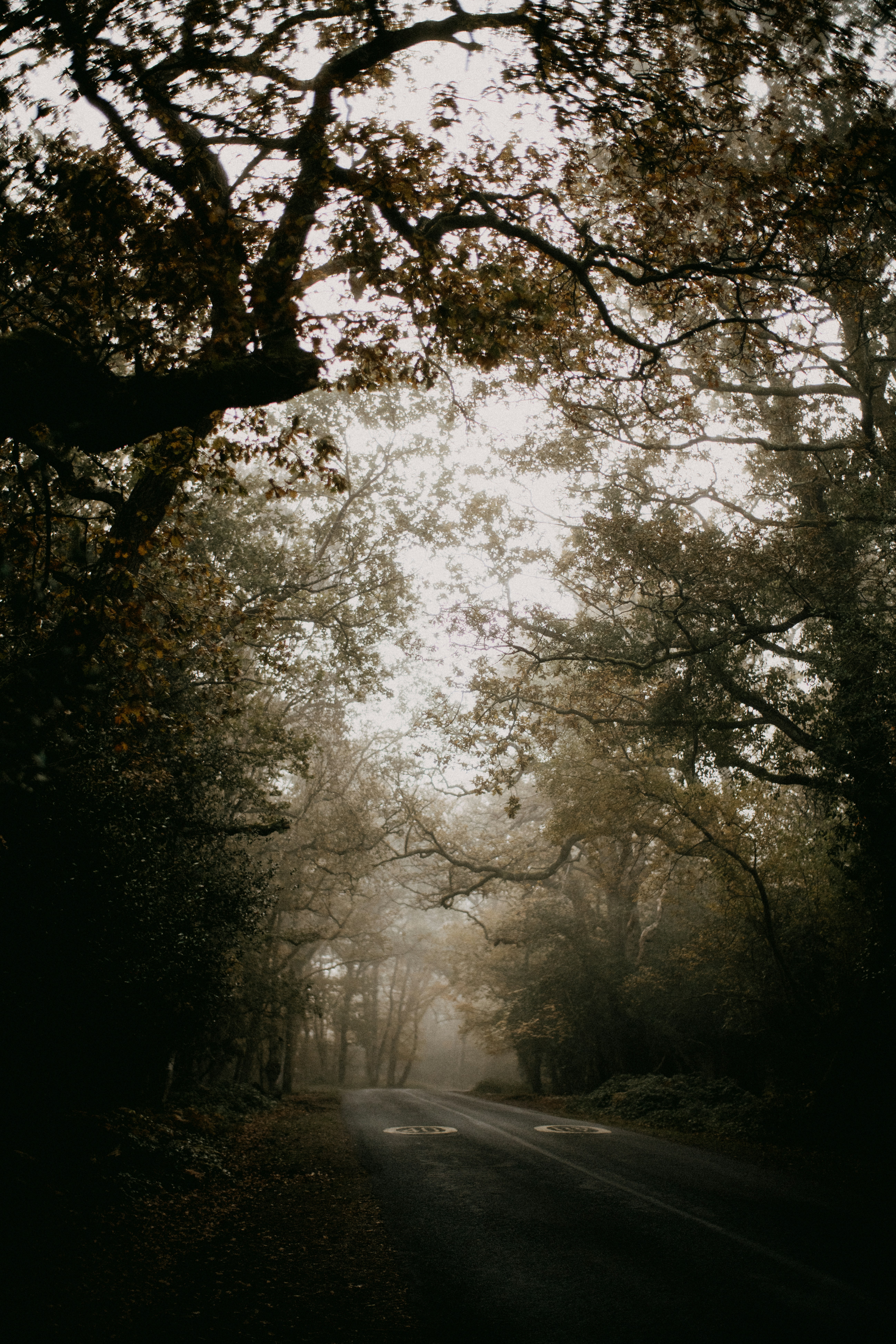 Photo by anniespratt