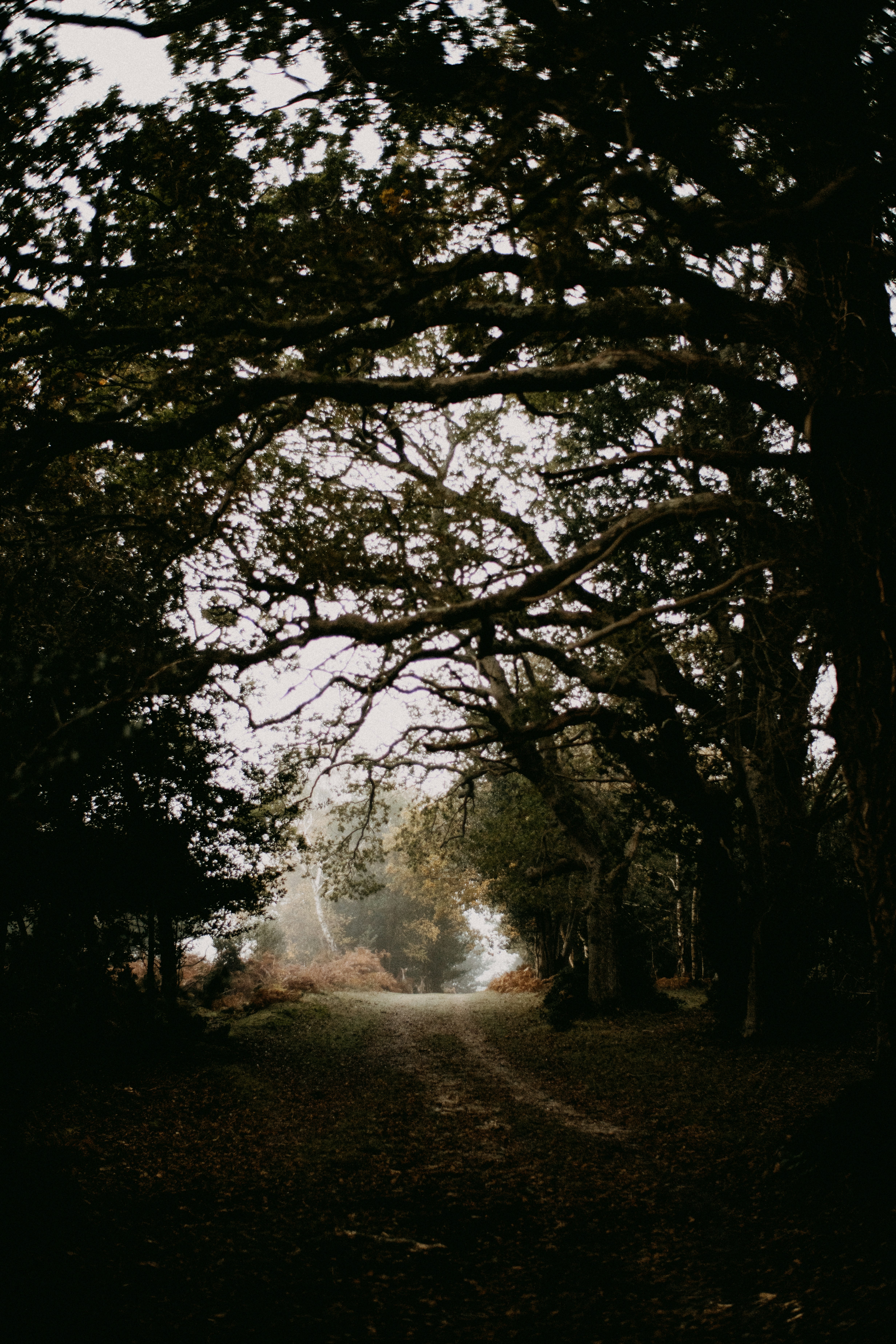 Photo by anniespratt