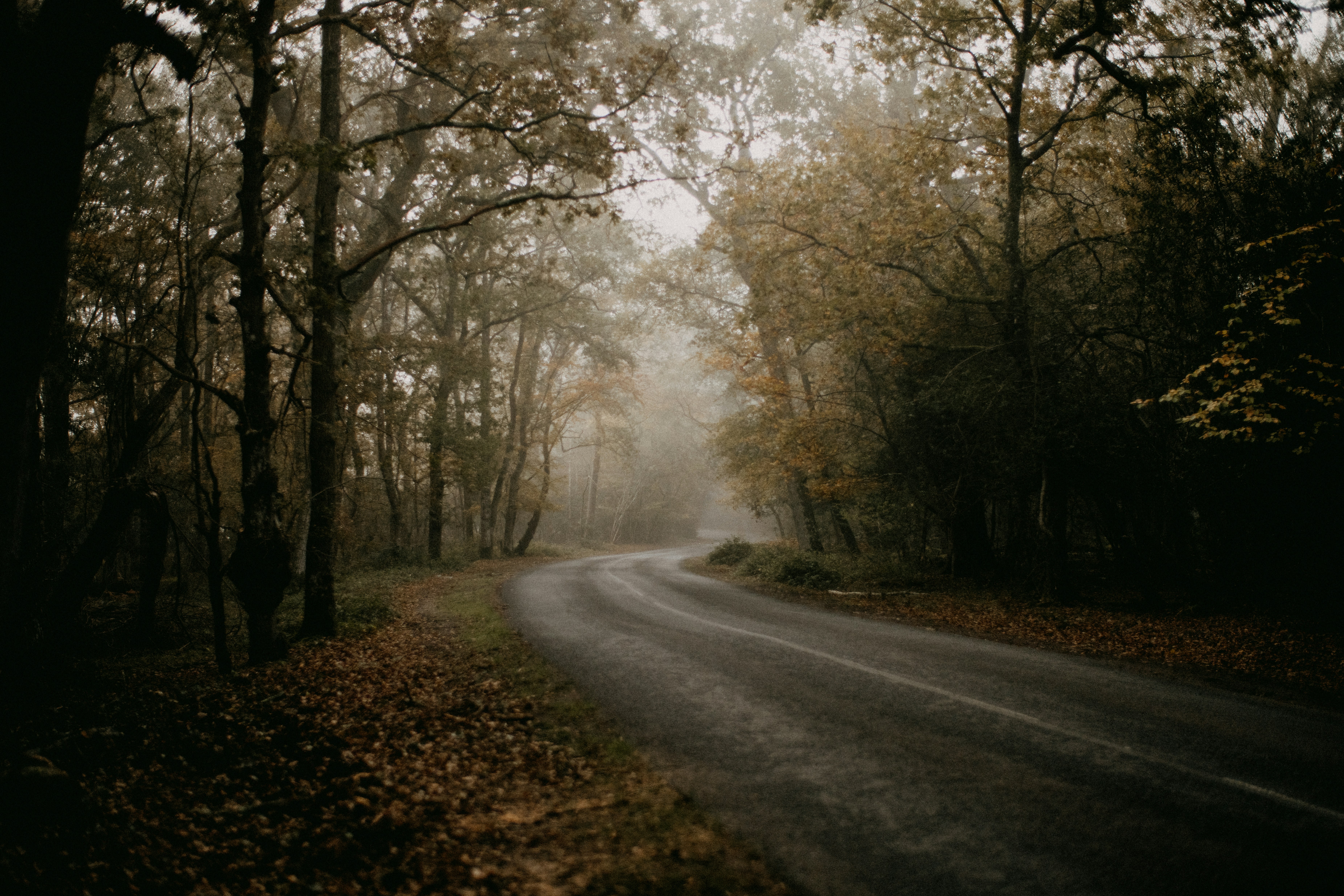 Photo by anniespratt