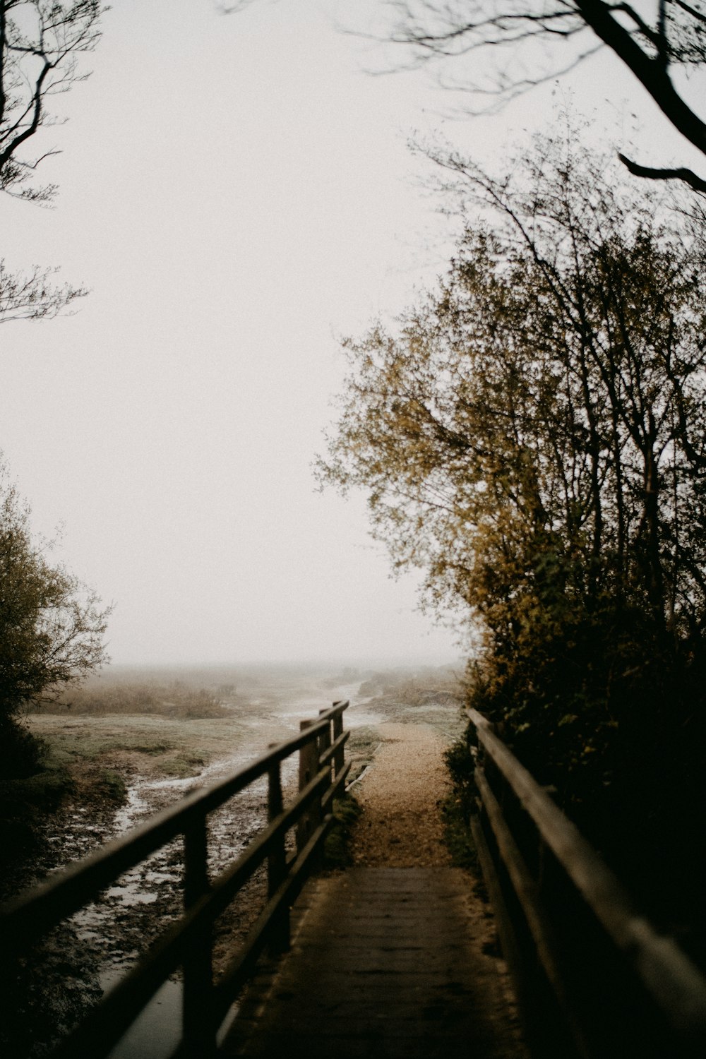 a wooden walkway leading to a forest on a foggy day