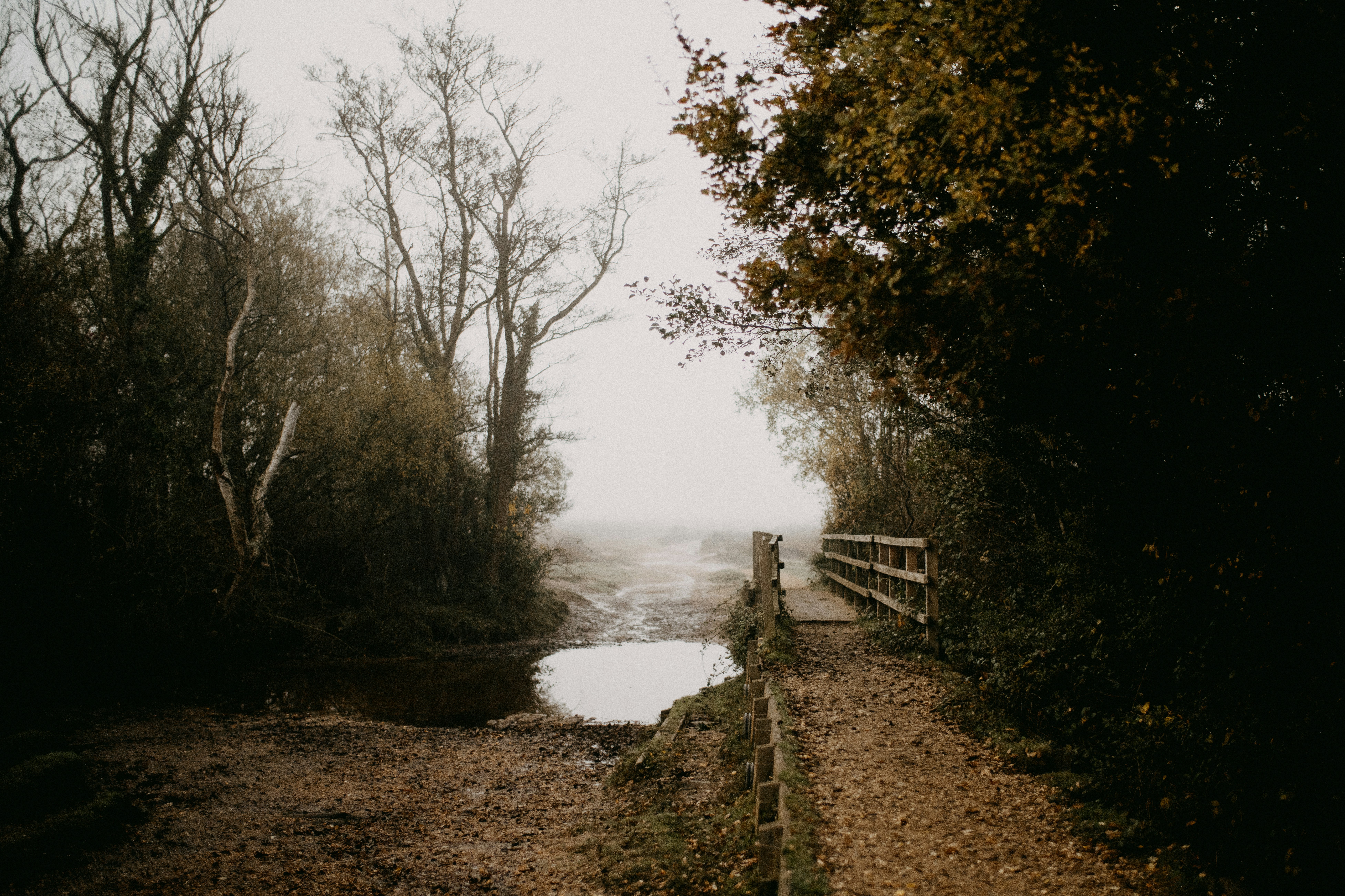 Photo by anniespratt