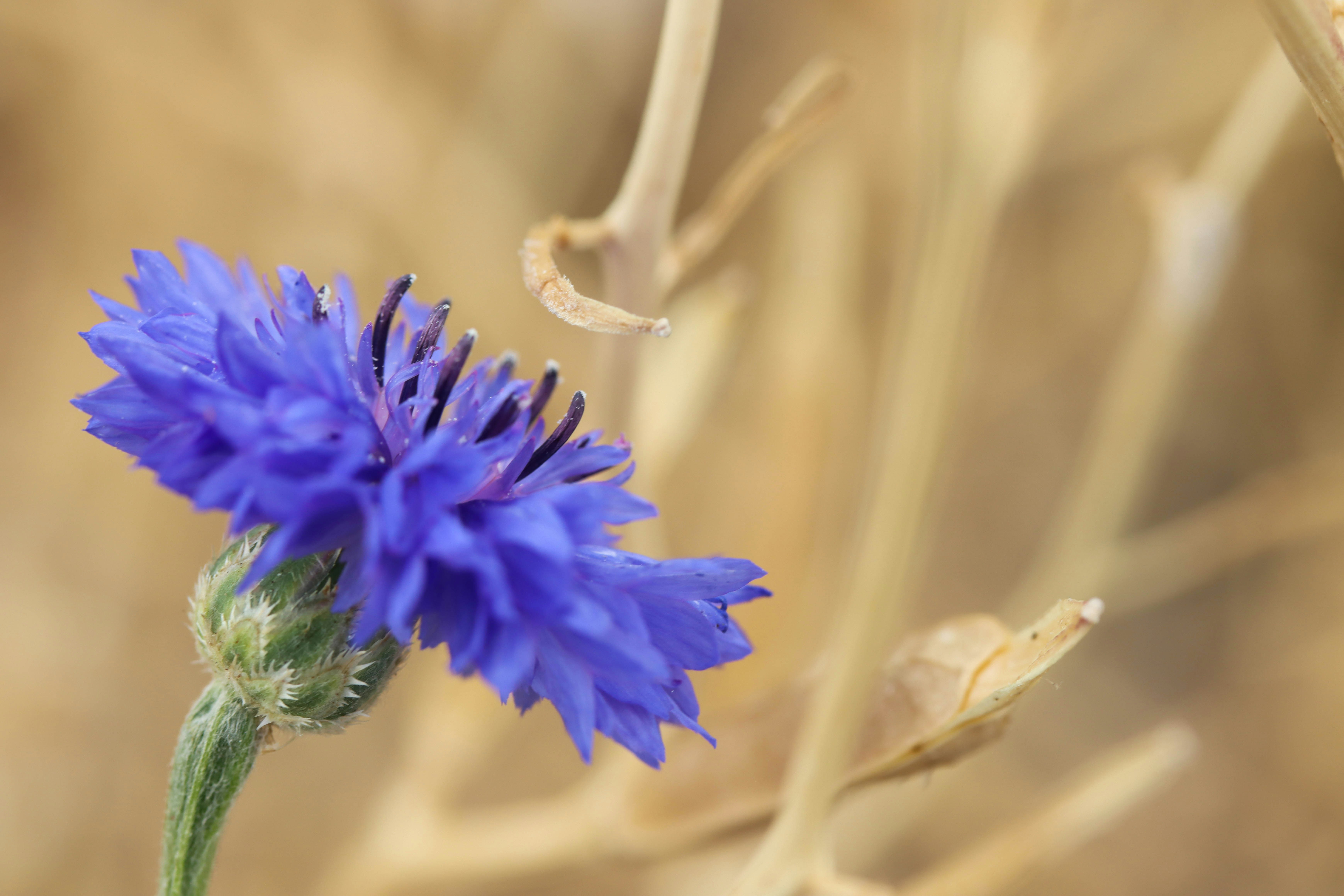 Photo by _chloe_photo