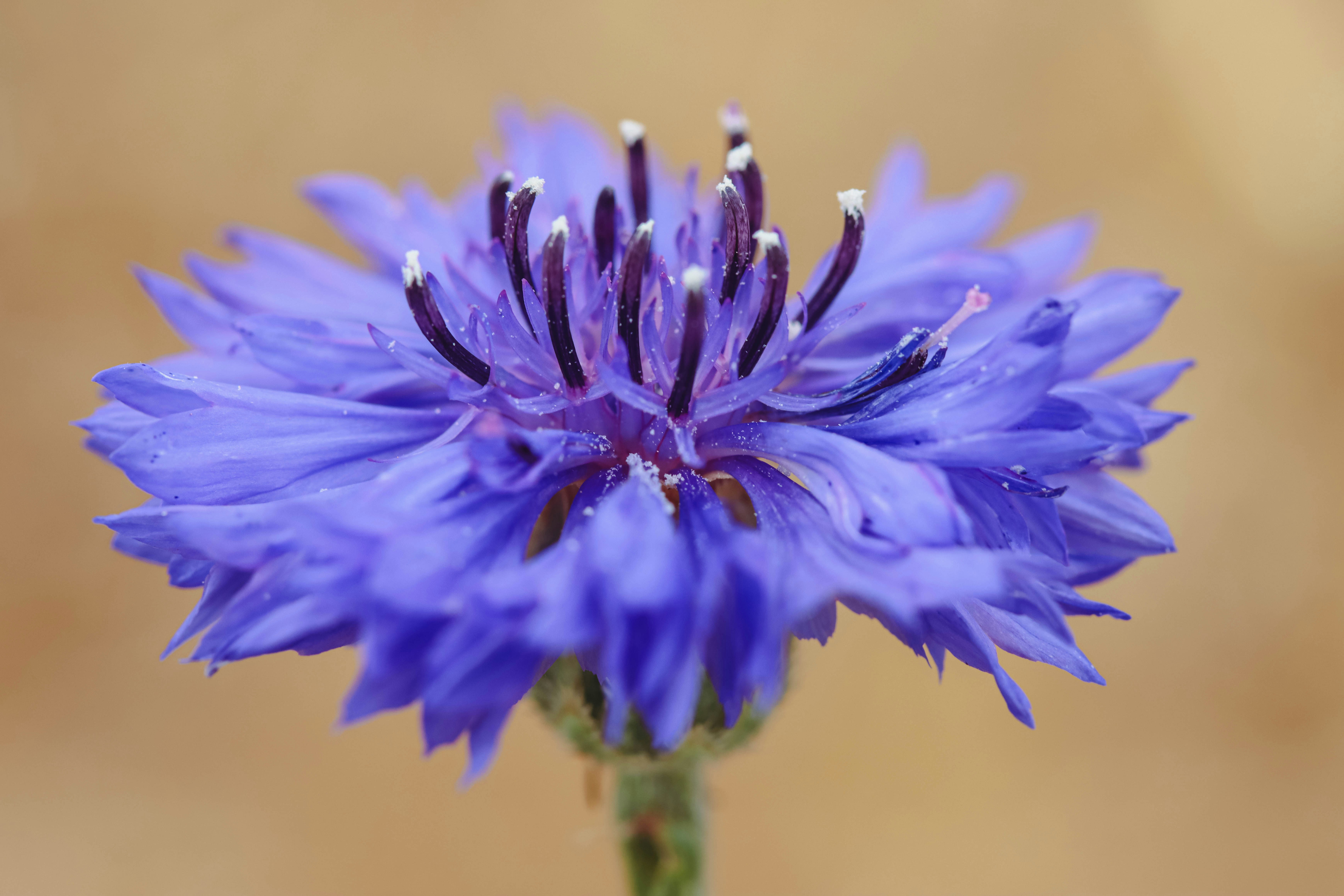 Photo by _chloe_photo