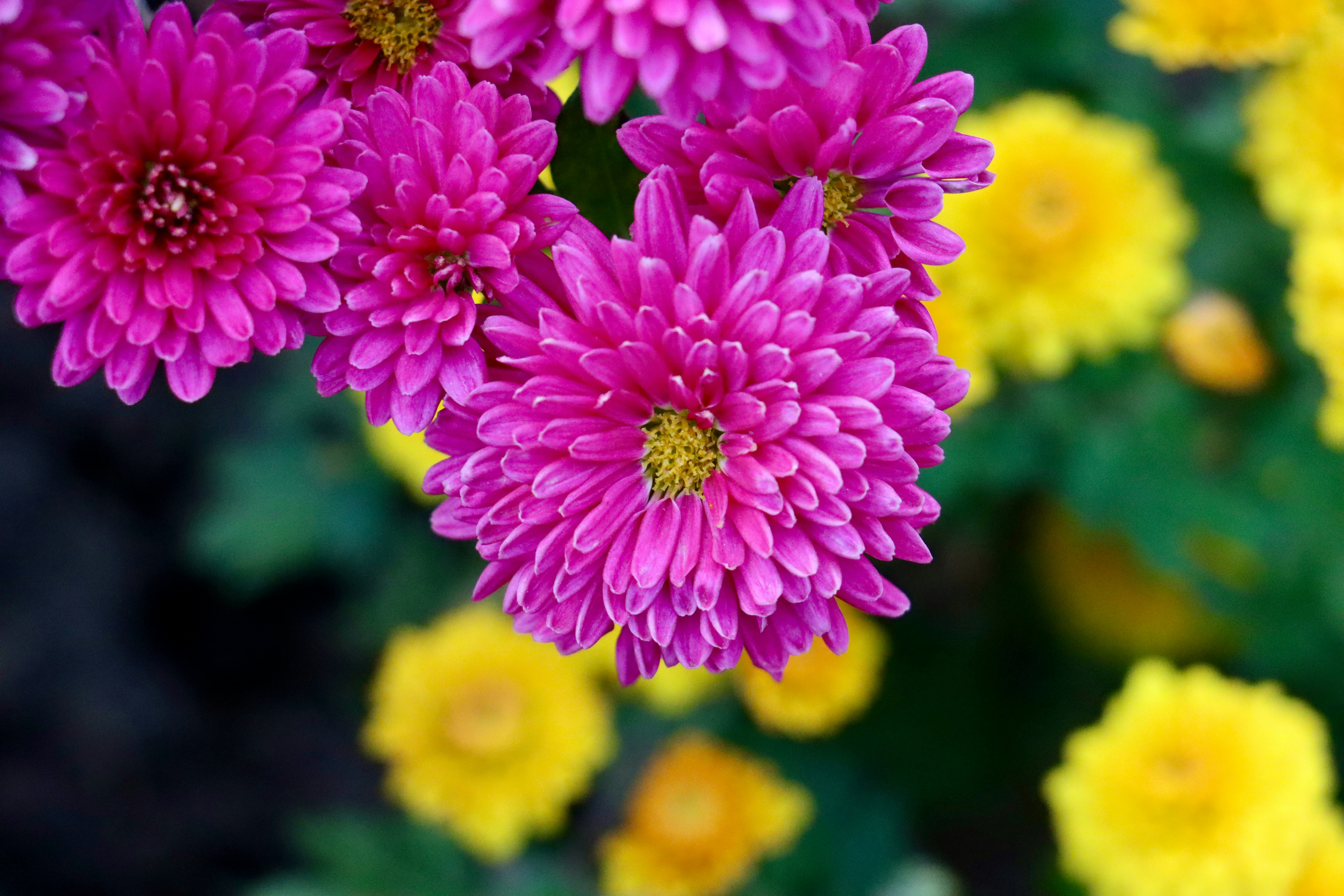 Photo by exploringzhongguo