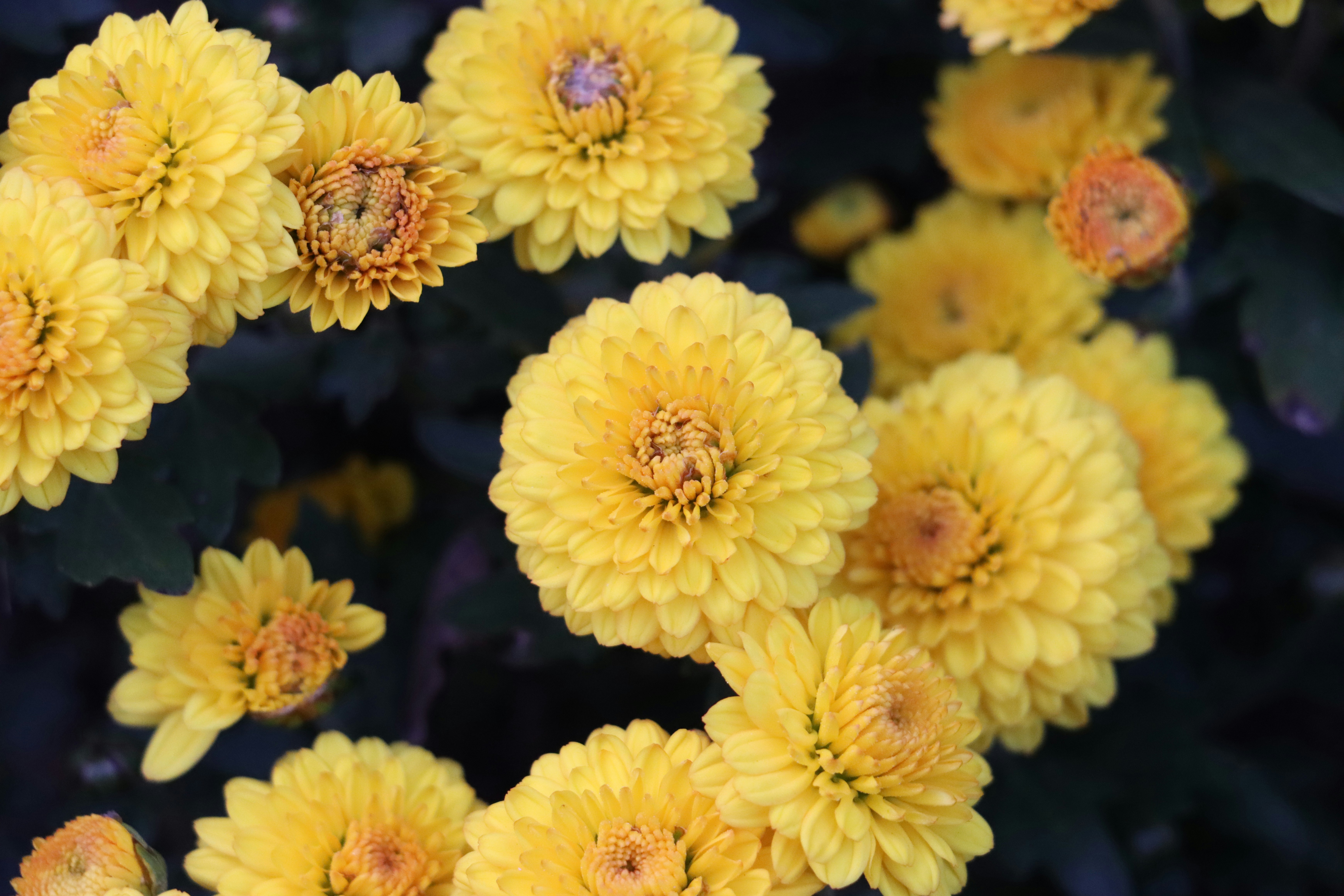 Photo by exploringzhongguo