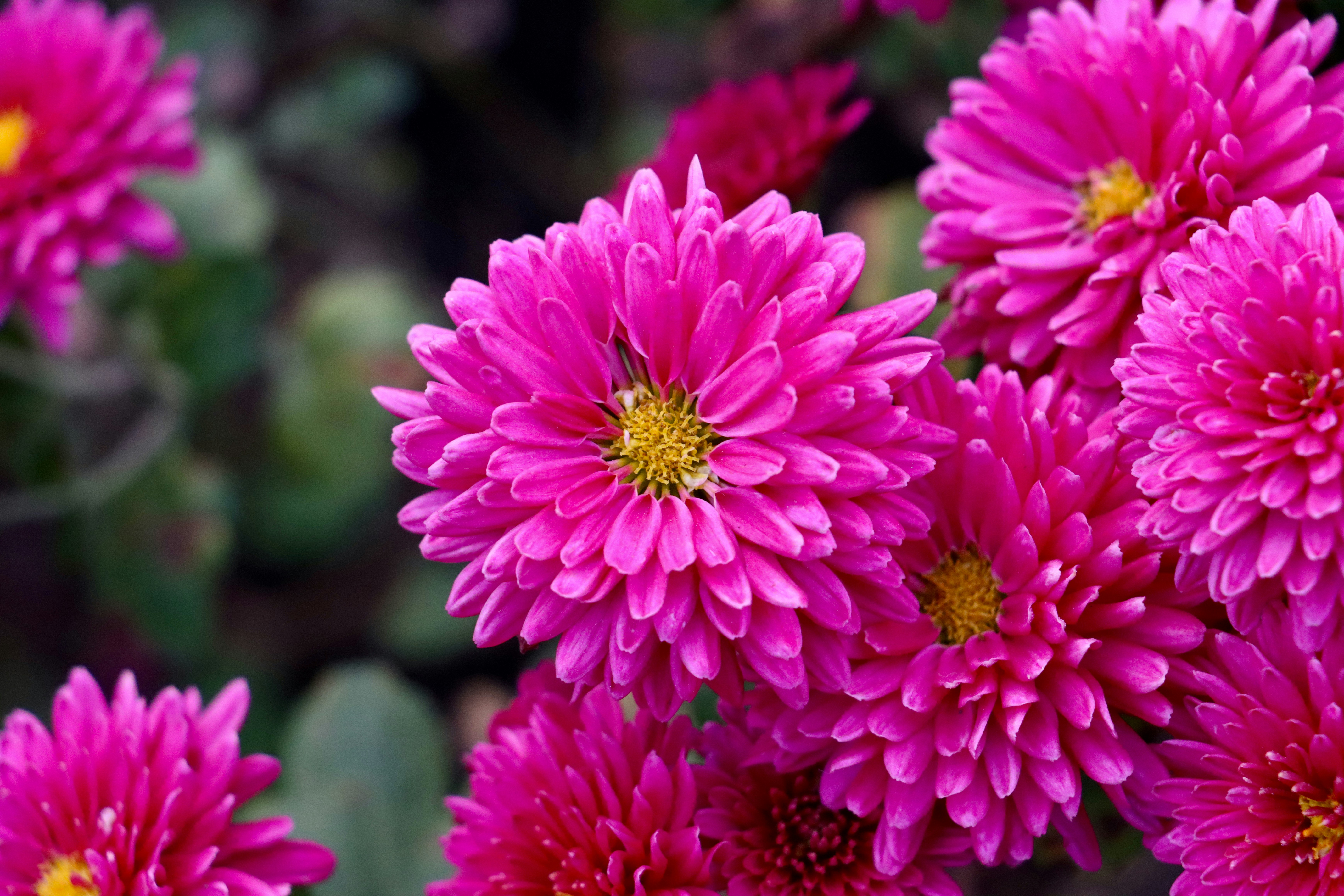 Photo by exploringzhongguo