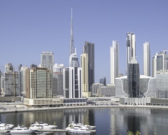 a harbor with boats and a city in the background