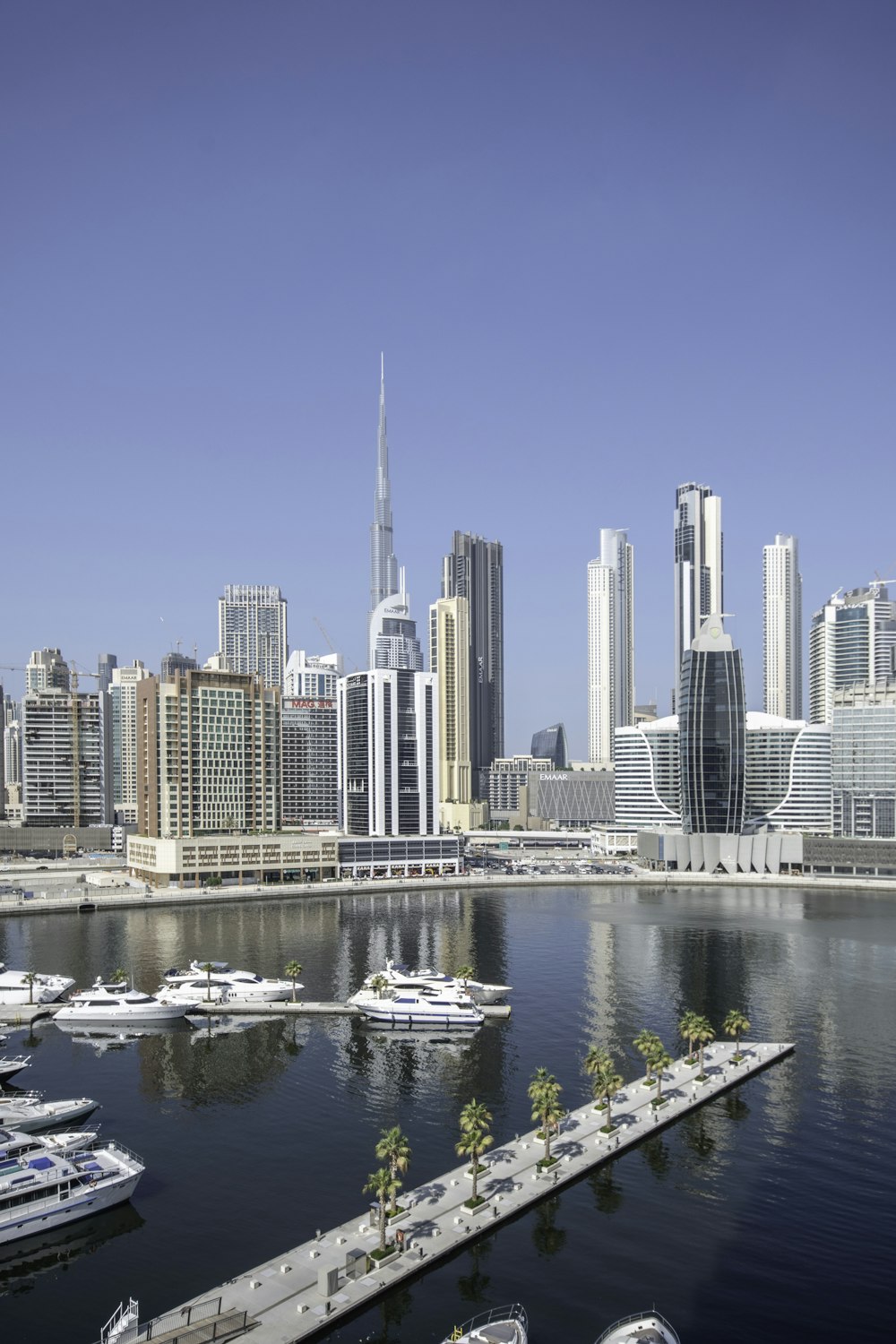 a harbor with boats and a city in the background