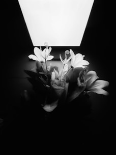 A black and white image featuring a bouquet of flowers with an overhead light source creating strong contrasts. The flowers, possibly including roses and lilies, display intricate details with their leaves and petals. The light casts dramatic shadows, emphasizing the textures and shapes of the floral arrangement.