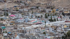 a large group of buildings in a Leh city