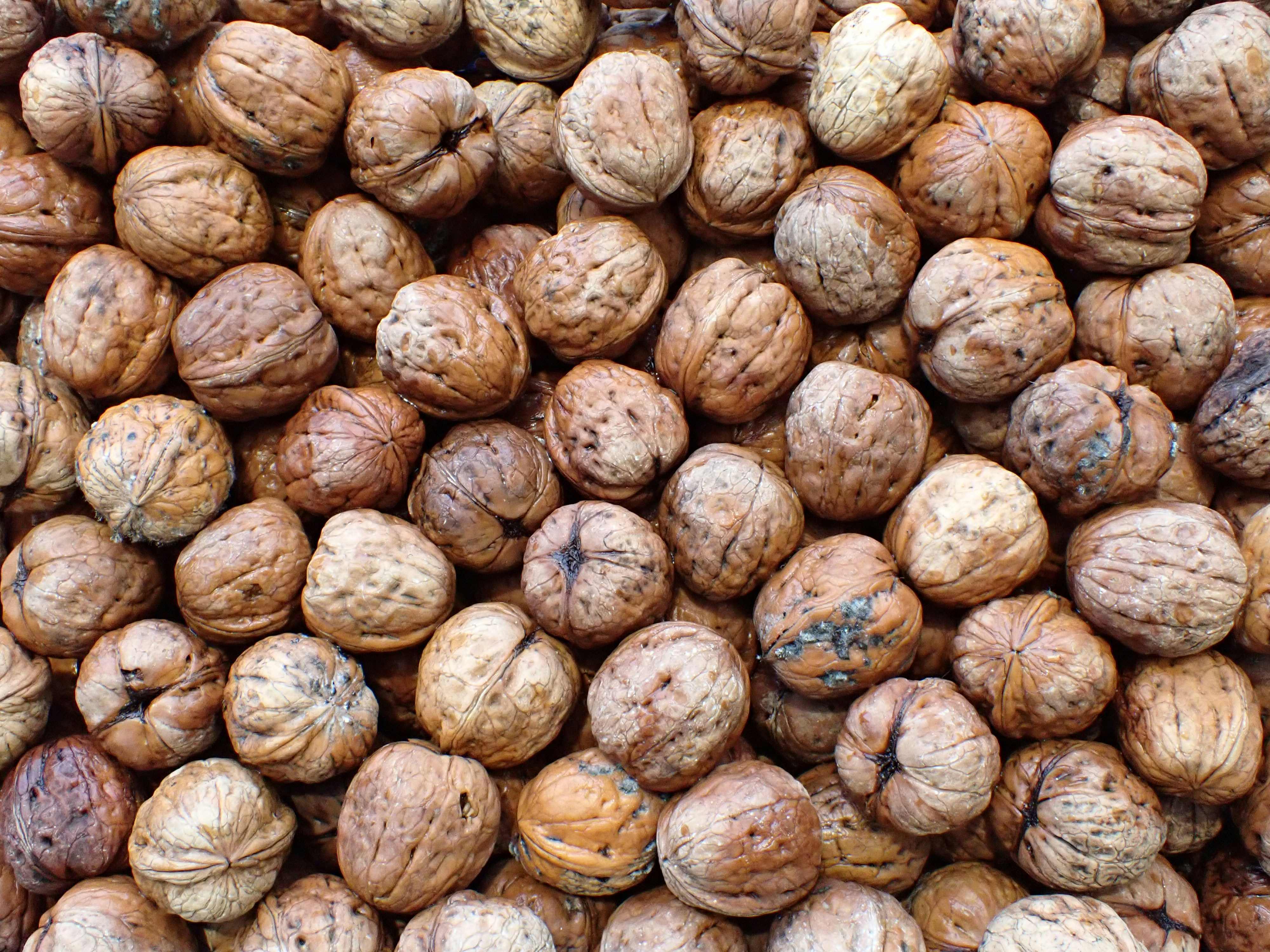a bunch of walnuts that are brown and brown