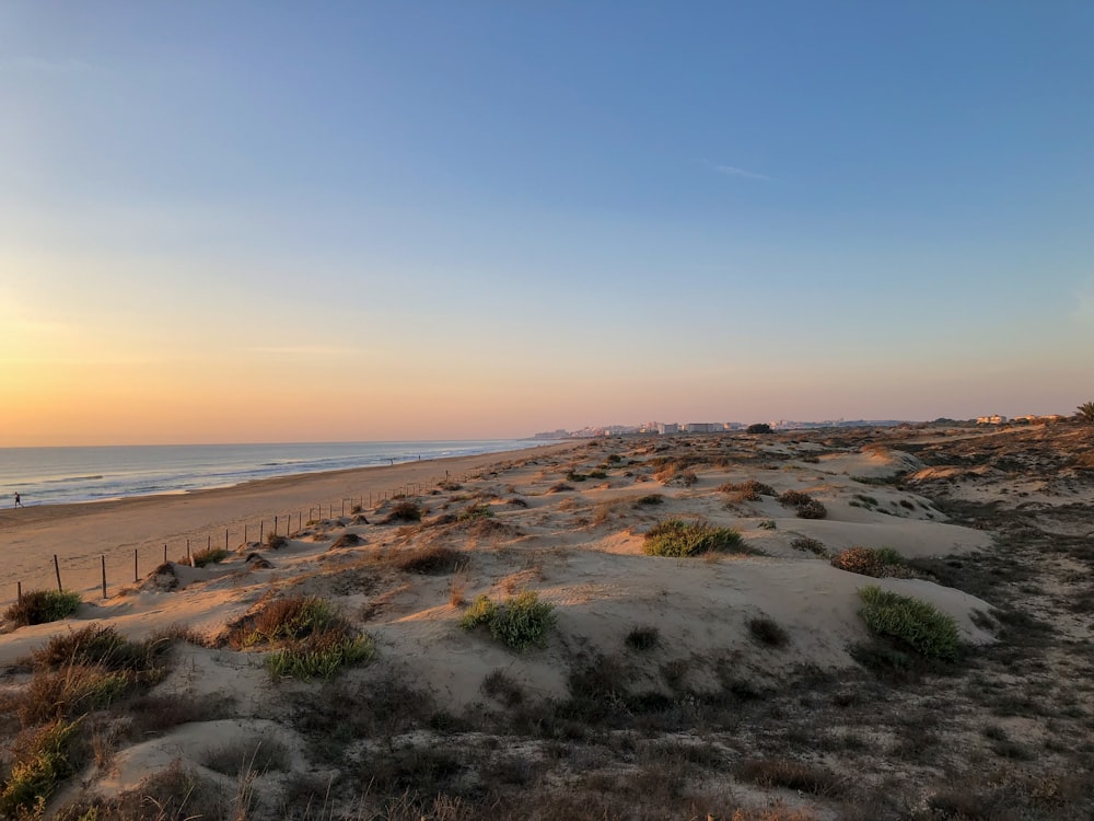 a sandy beach with a fence and ocean in the background