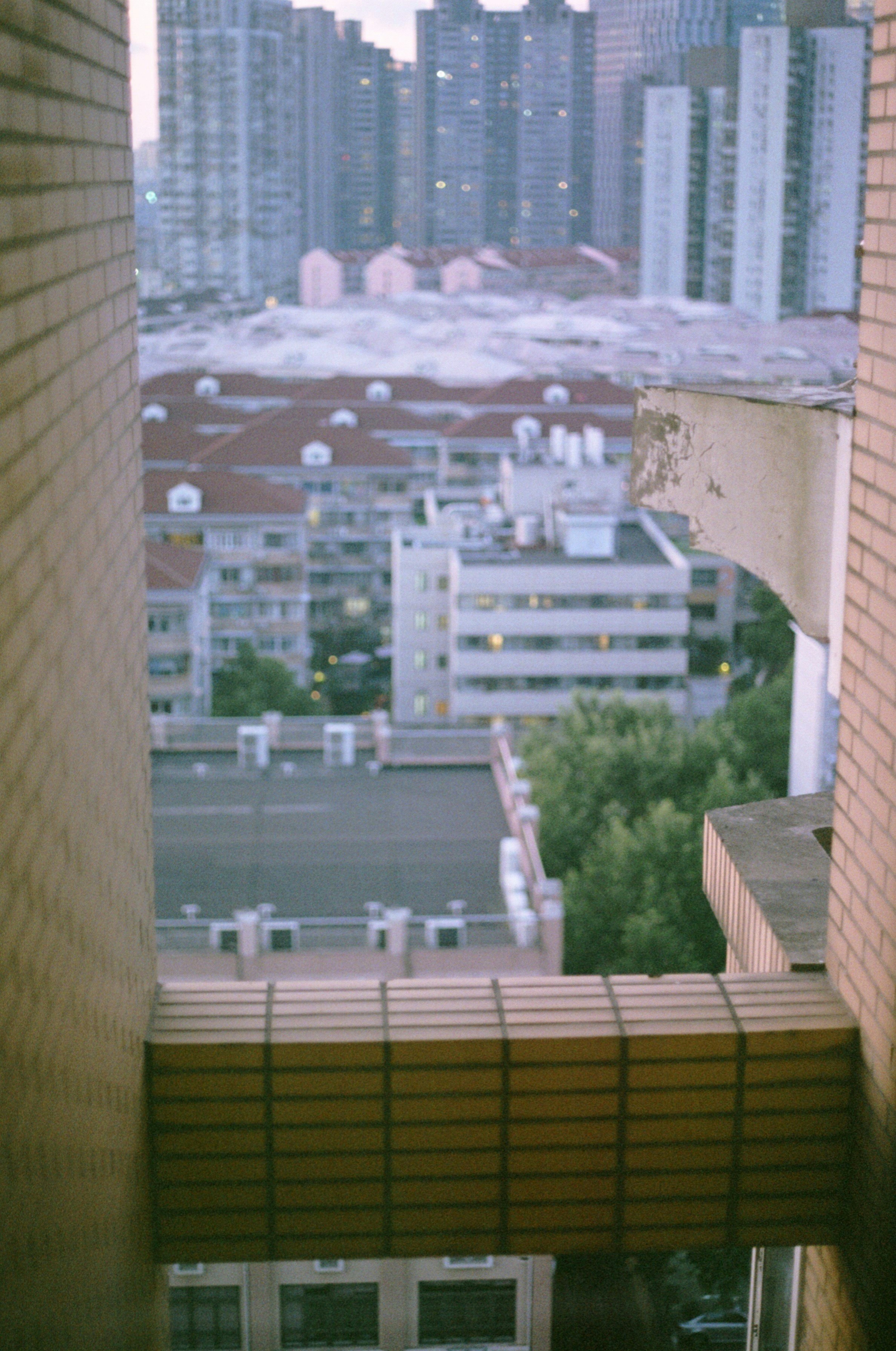 Photo by alexadenial