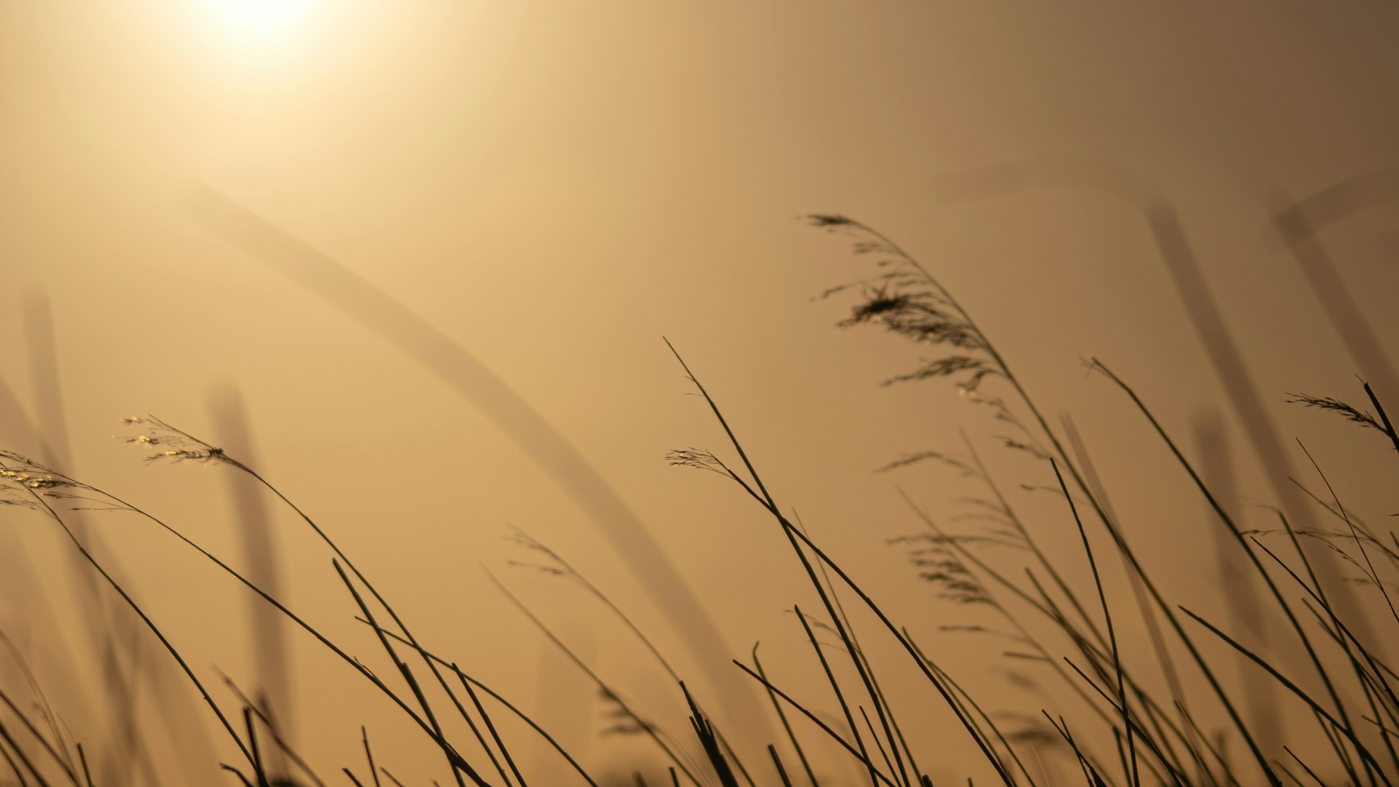 Photo by theo_aartsma