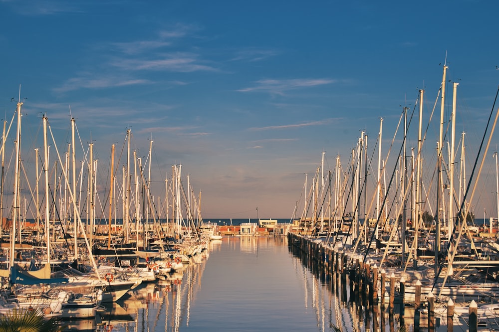 a harbor filled with lots of boats under a blue sky