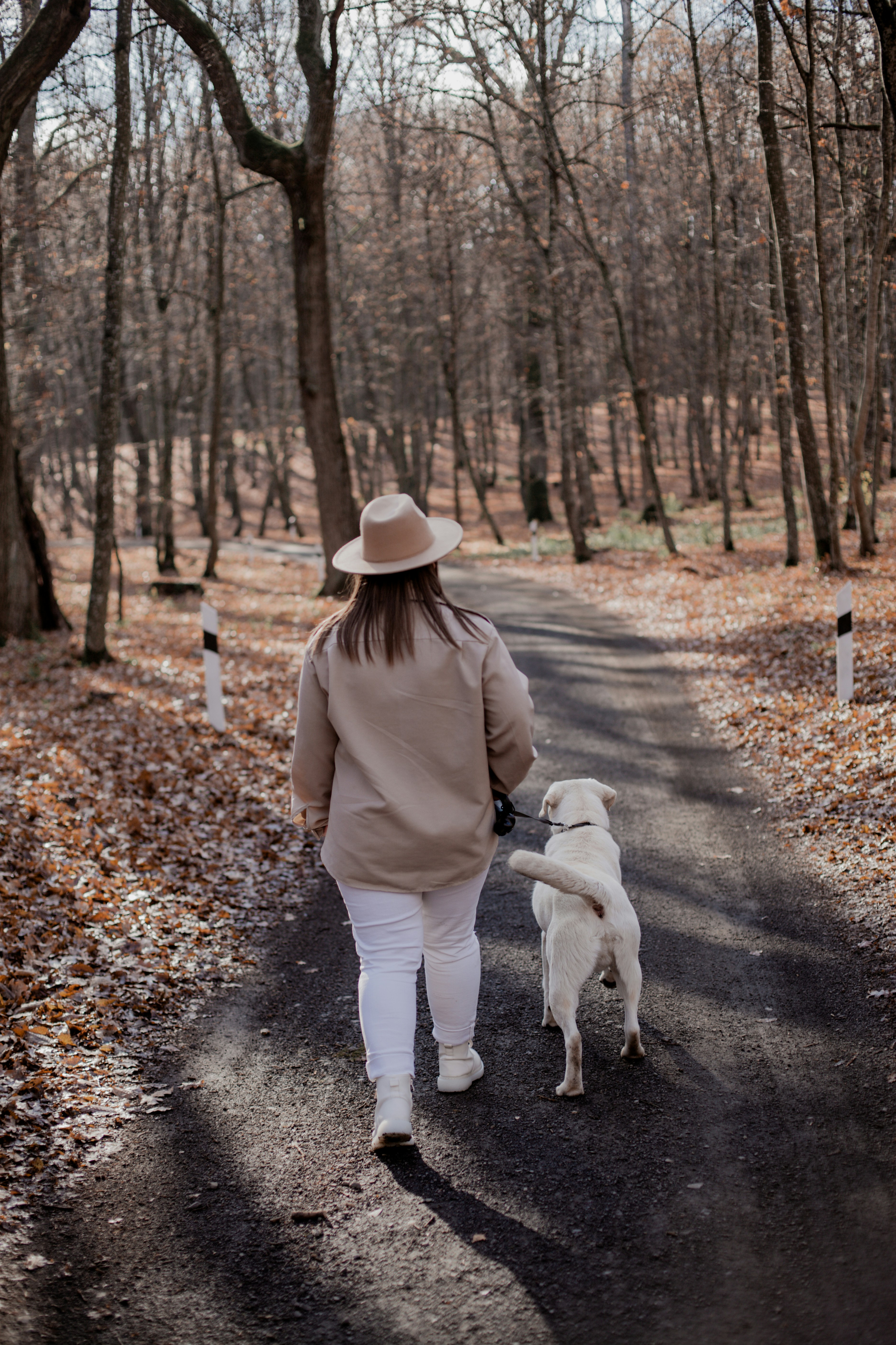 Photo by prostopetro