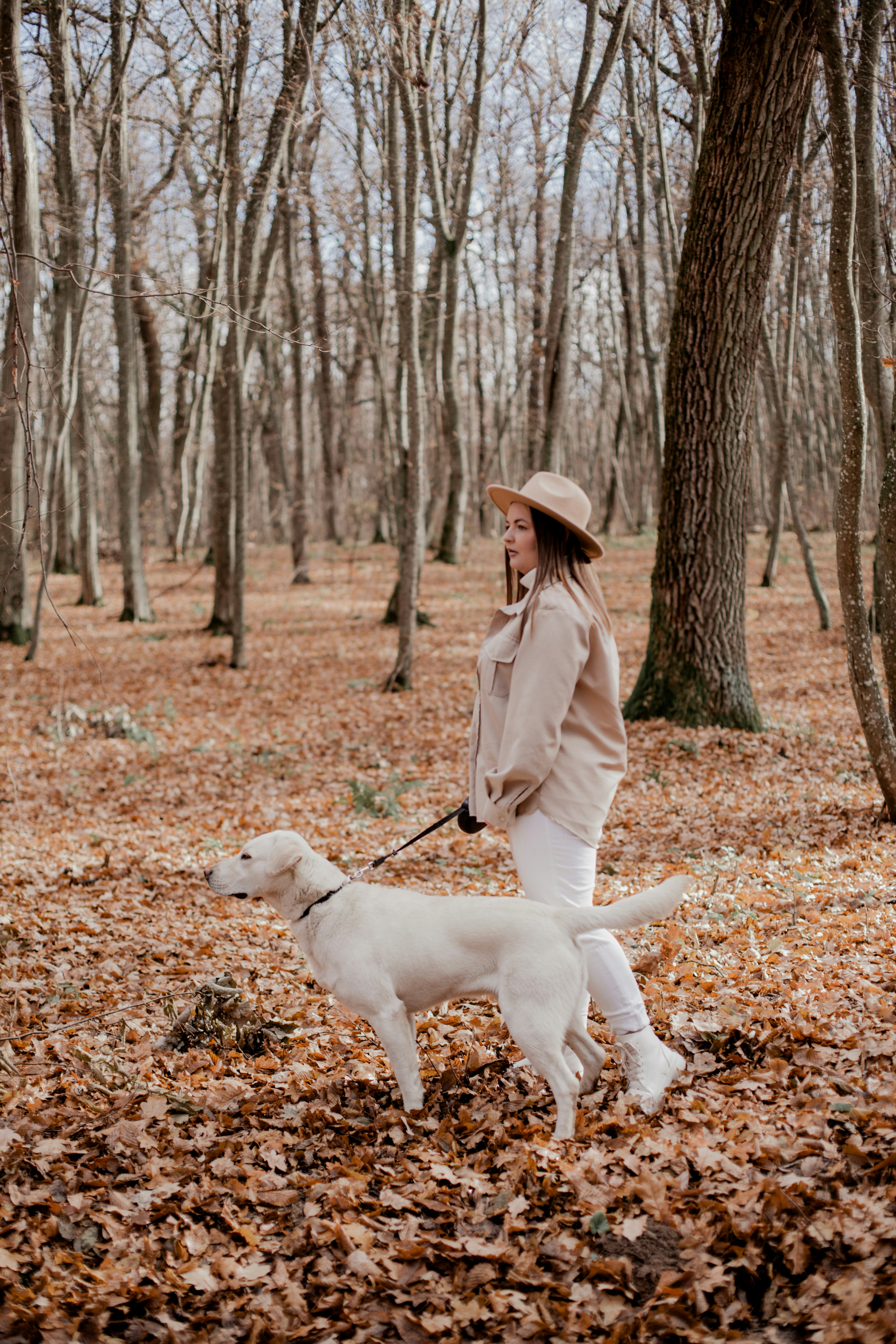 Photo by prostopetro