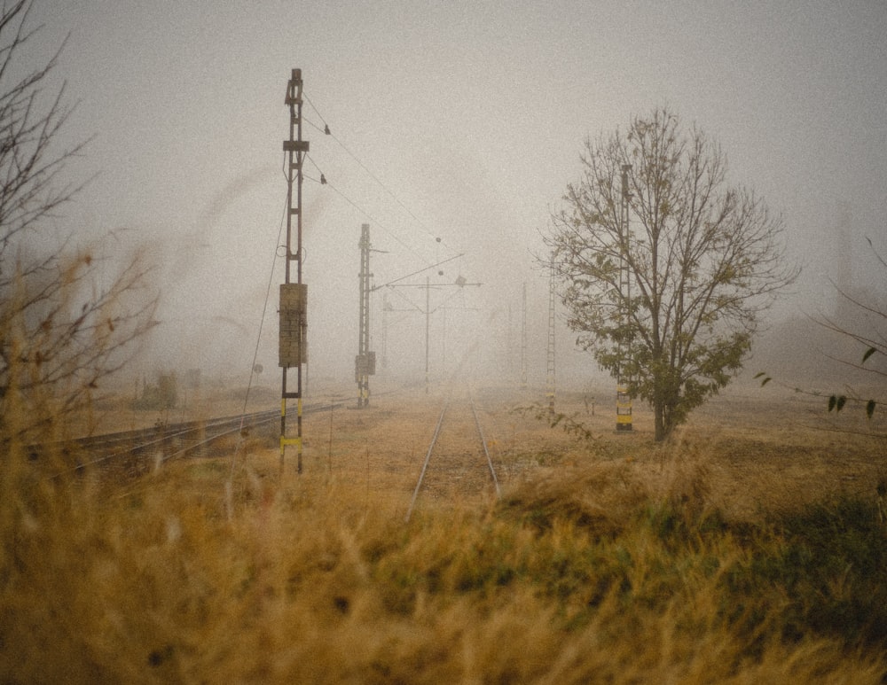 Un campo nebbioso con un binario del treno in primo piano