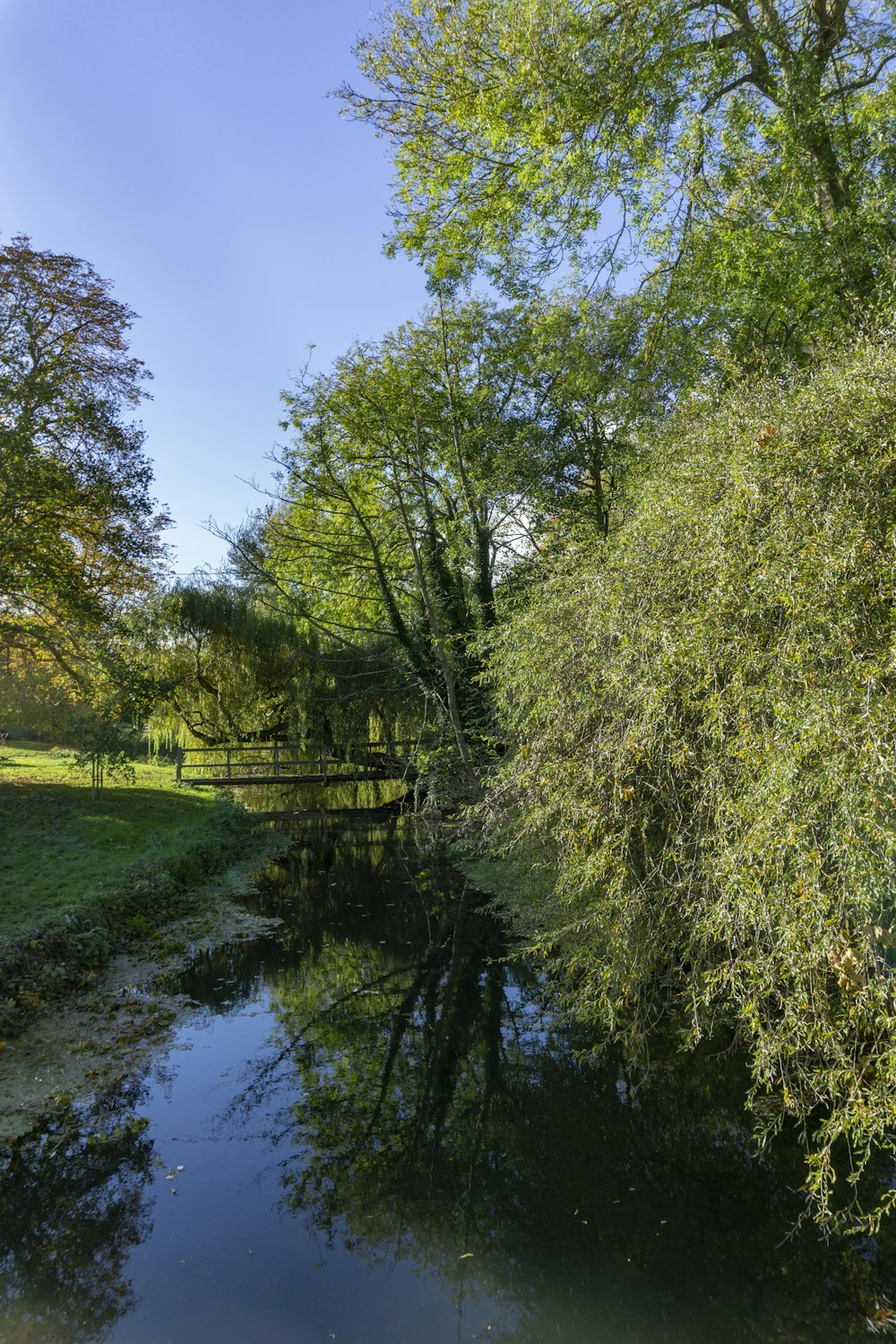 a body of water surrounded by trees and grass