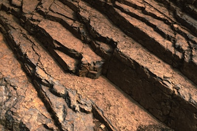 Photograph capturing the earthy tones and textures of a Portuguese archaeological site with clear focus on stratigraphy.