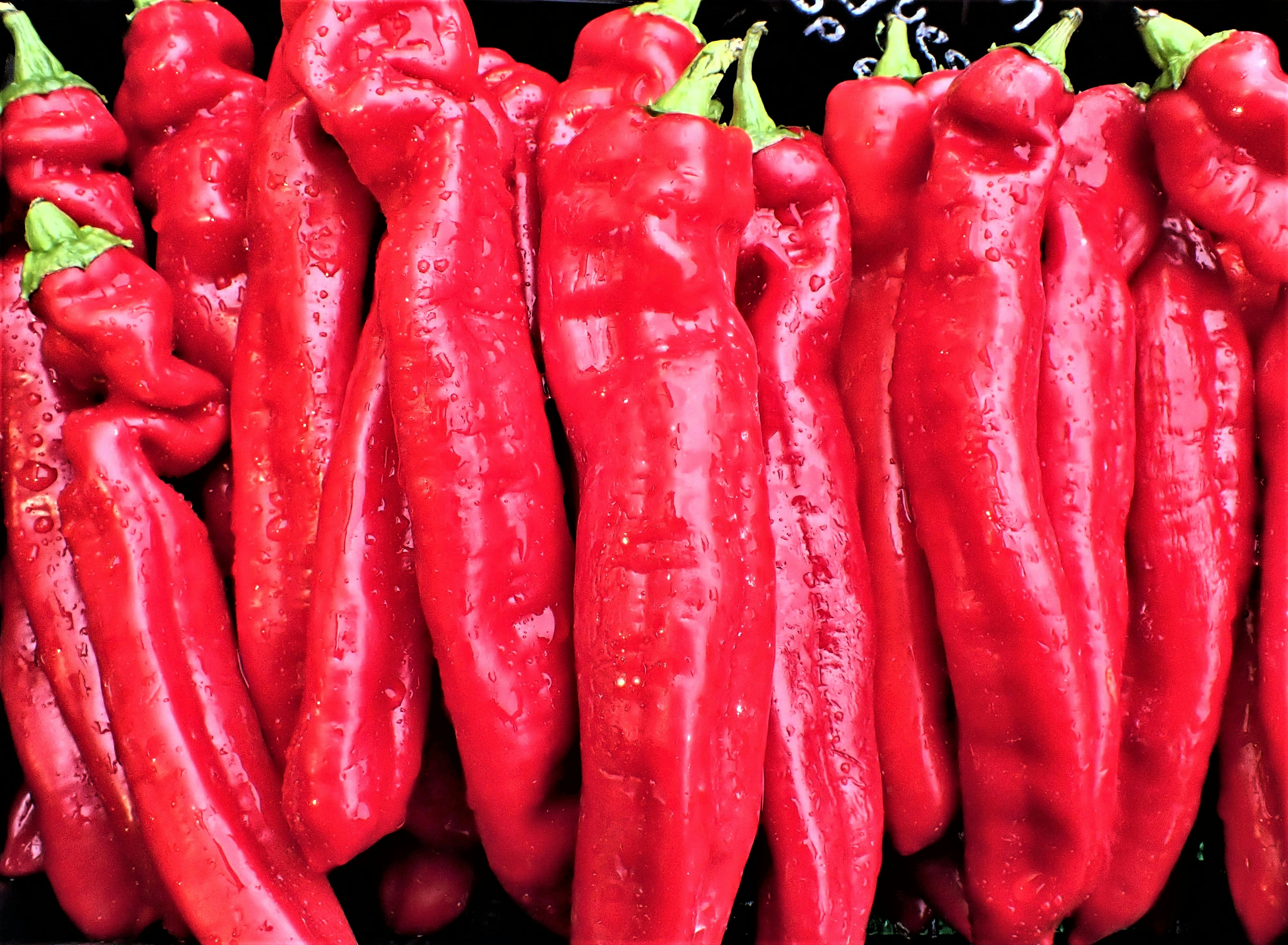 Piment doux africain