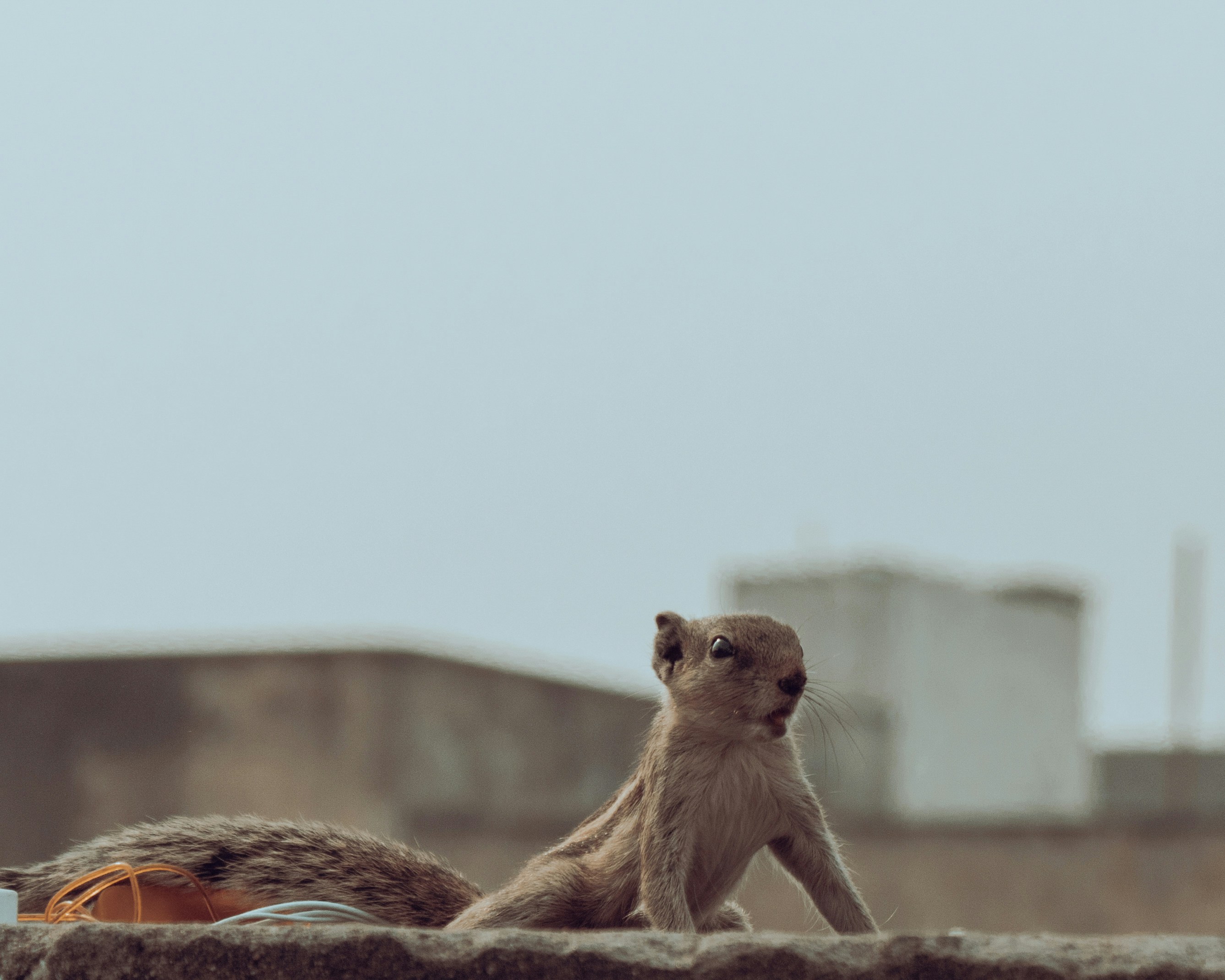 Photo by shantanugoyal_