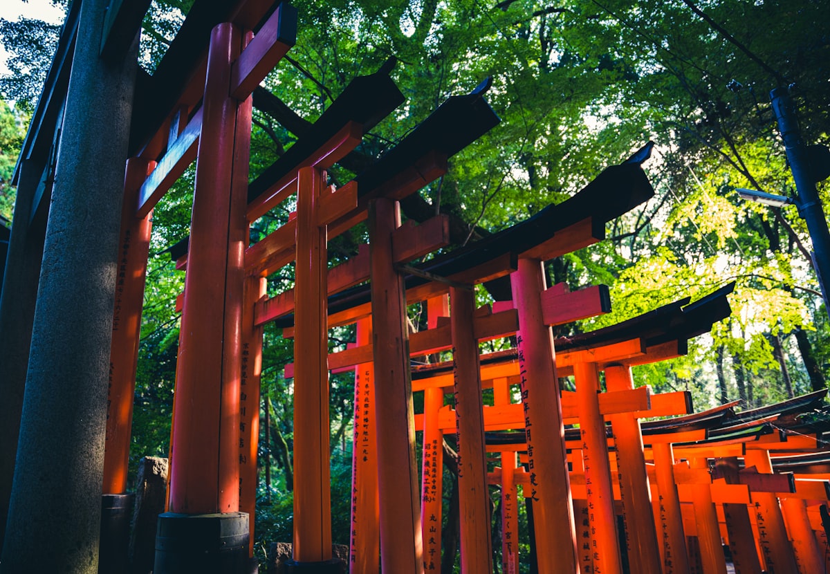 Looking down the Fushimi Inari torii tunnel path