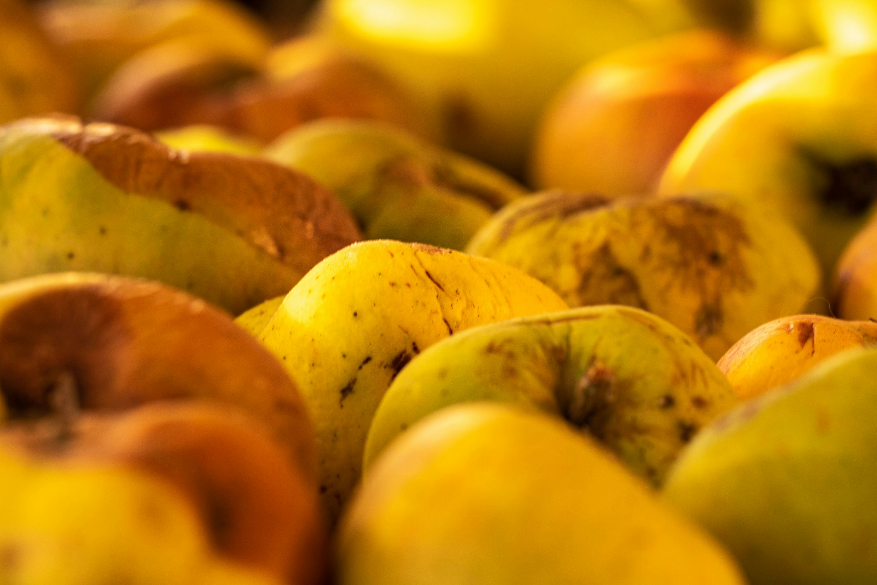 Photo by itscakefortea