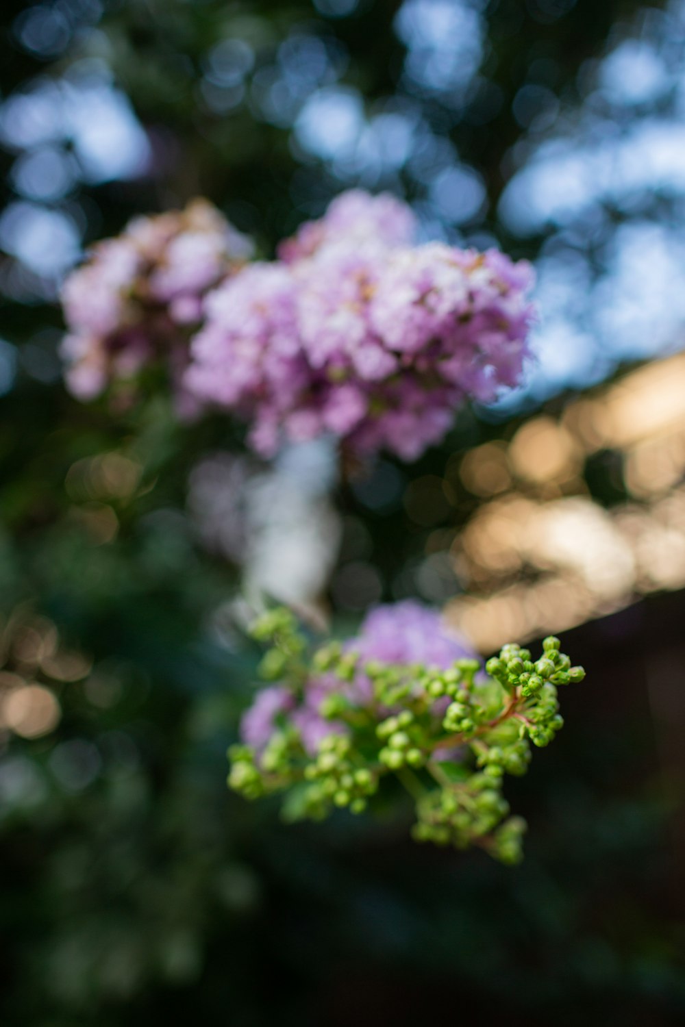 a vase filled with purple flowers sitting on top of a table