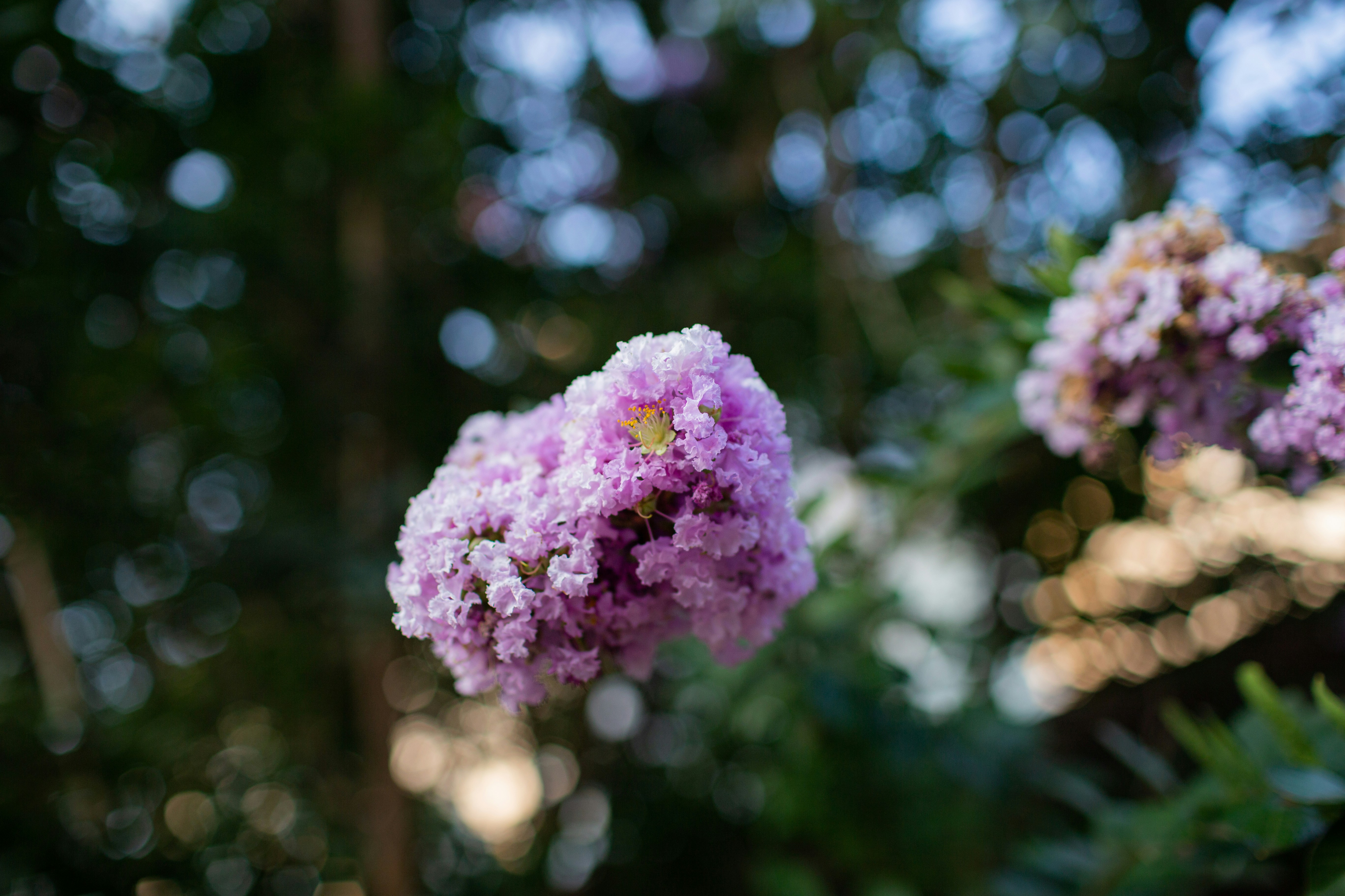 Photo by benjamin_deyoung