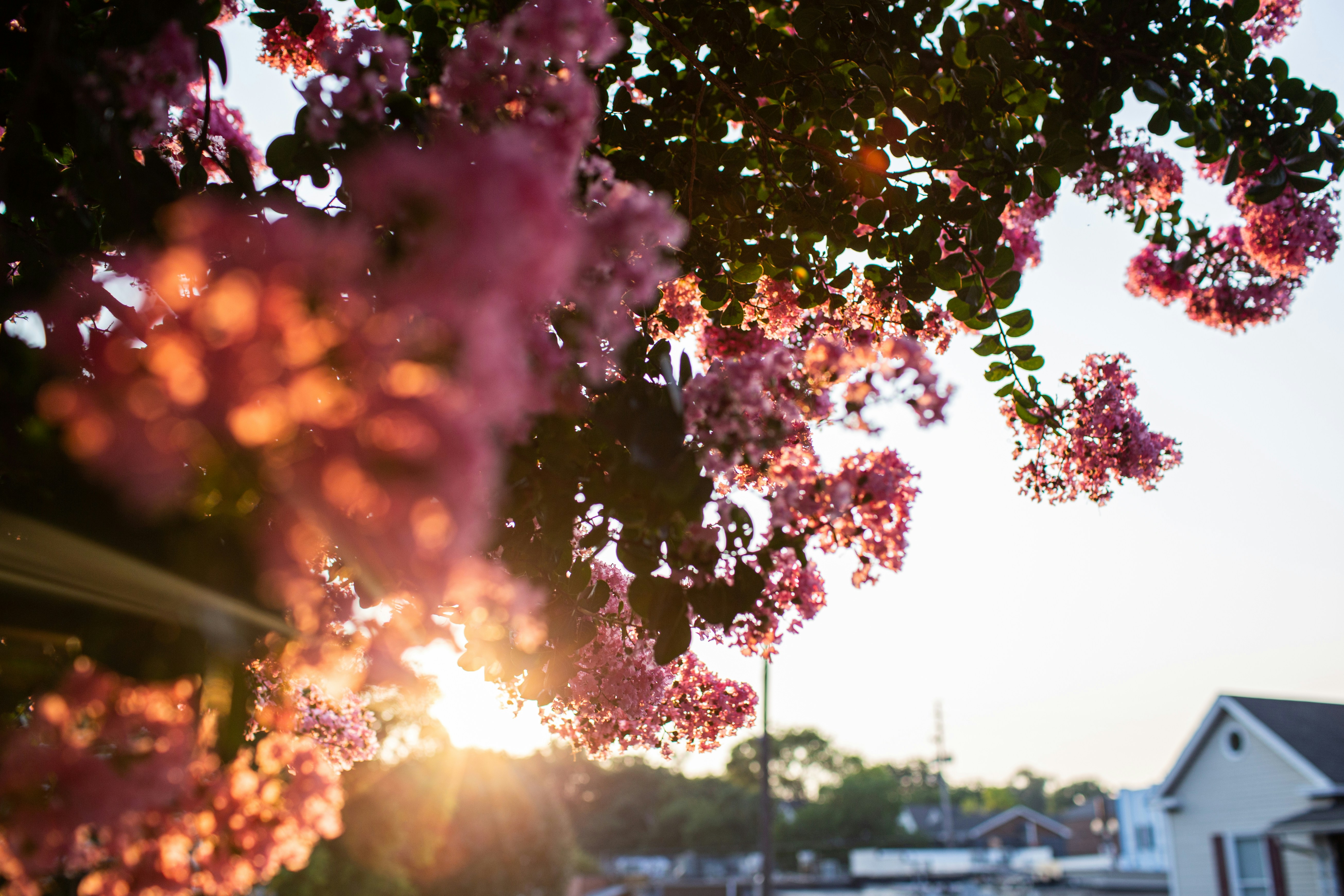 Photo by benjamin_deyoung