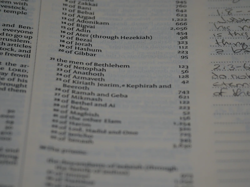 AccountsIQ