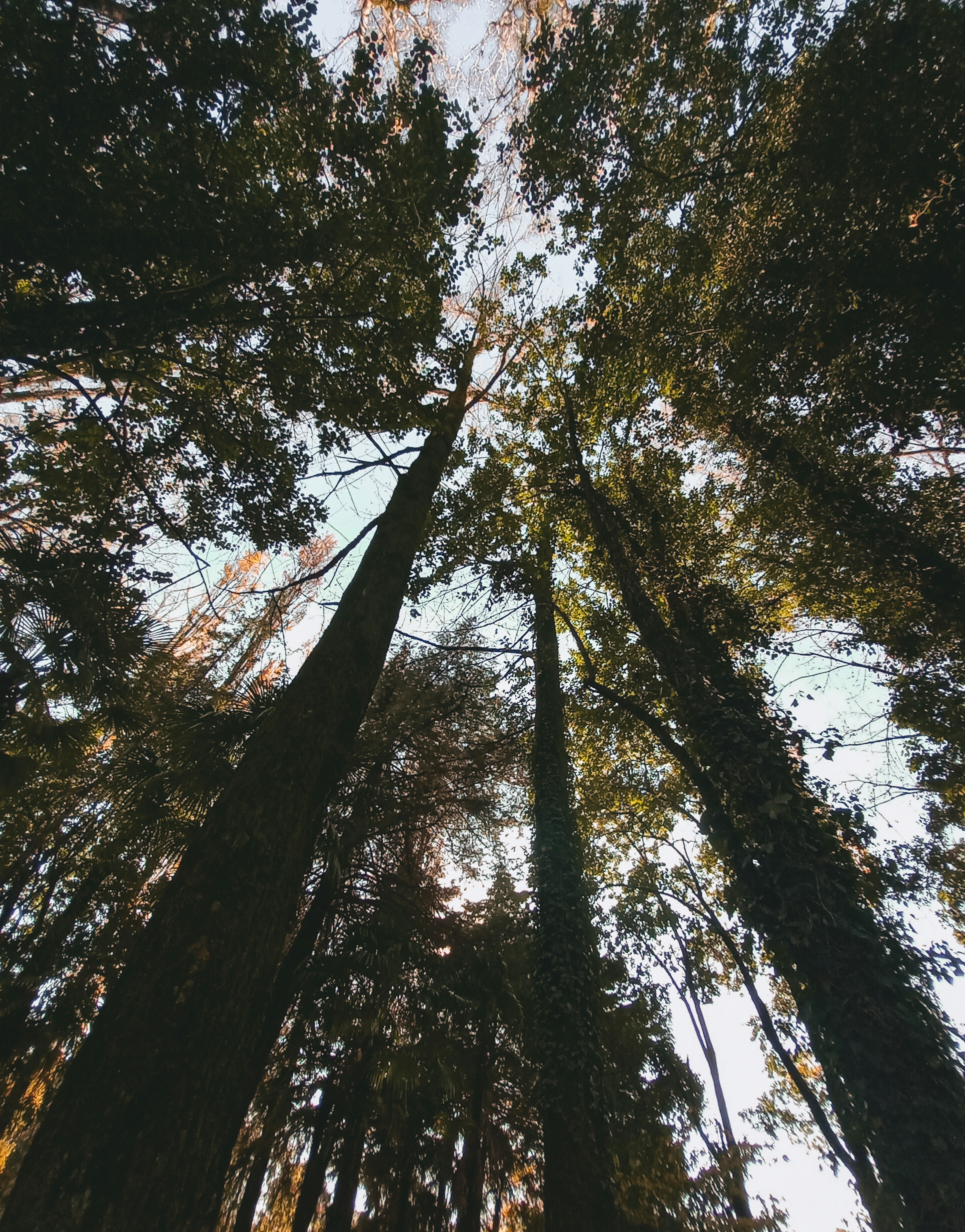 Photo by _tima_chant_