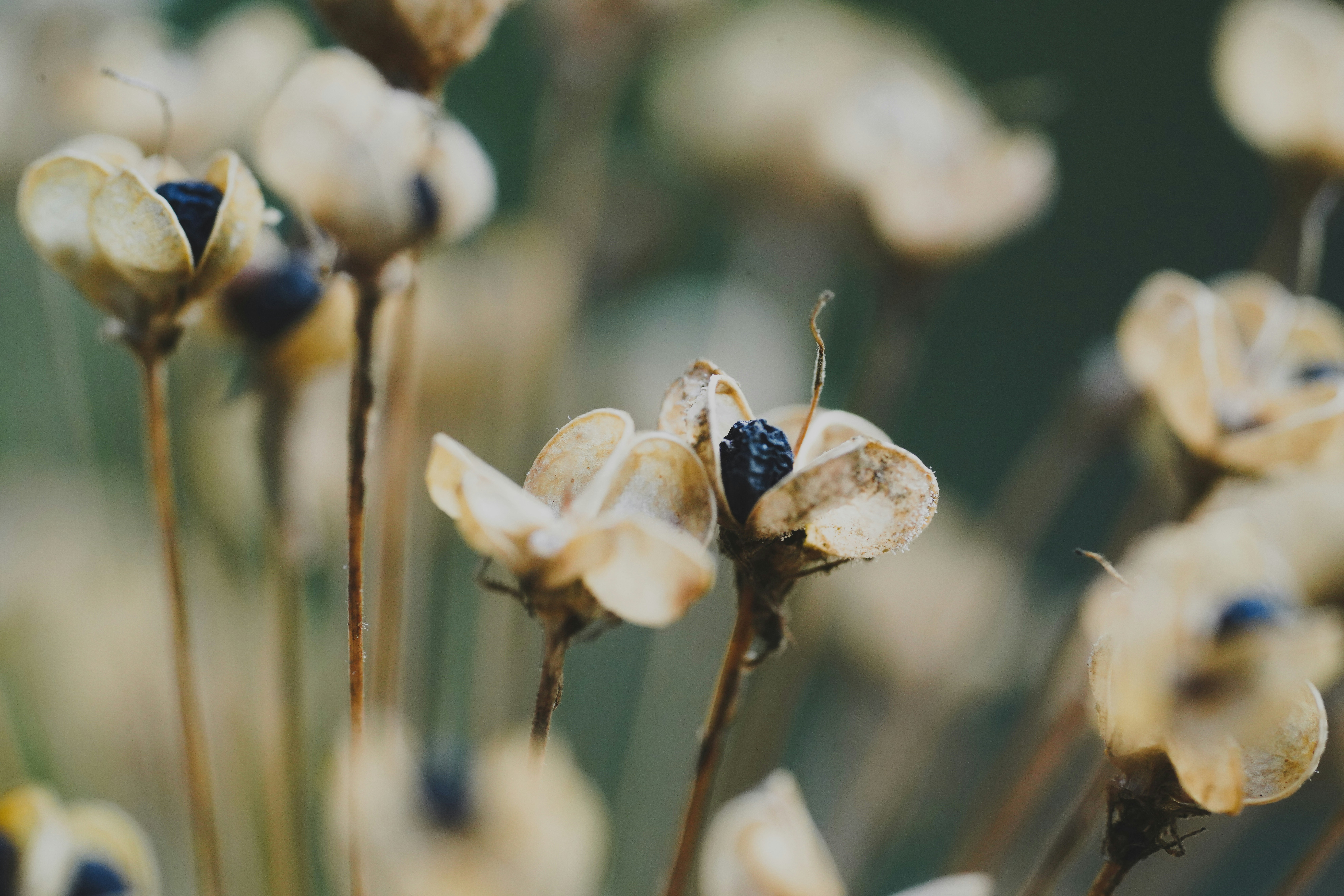 Photo by daniel_norin