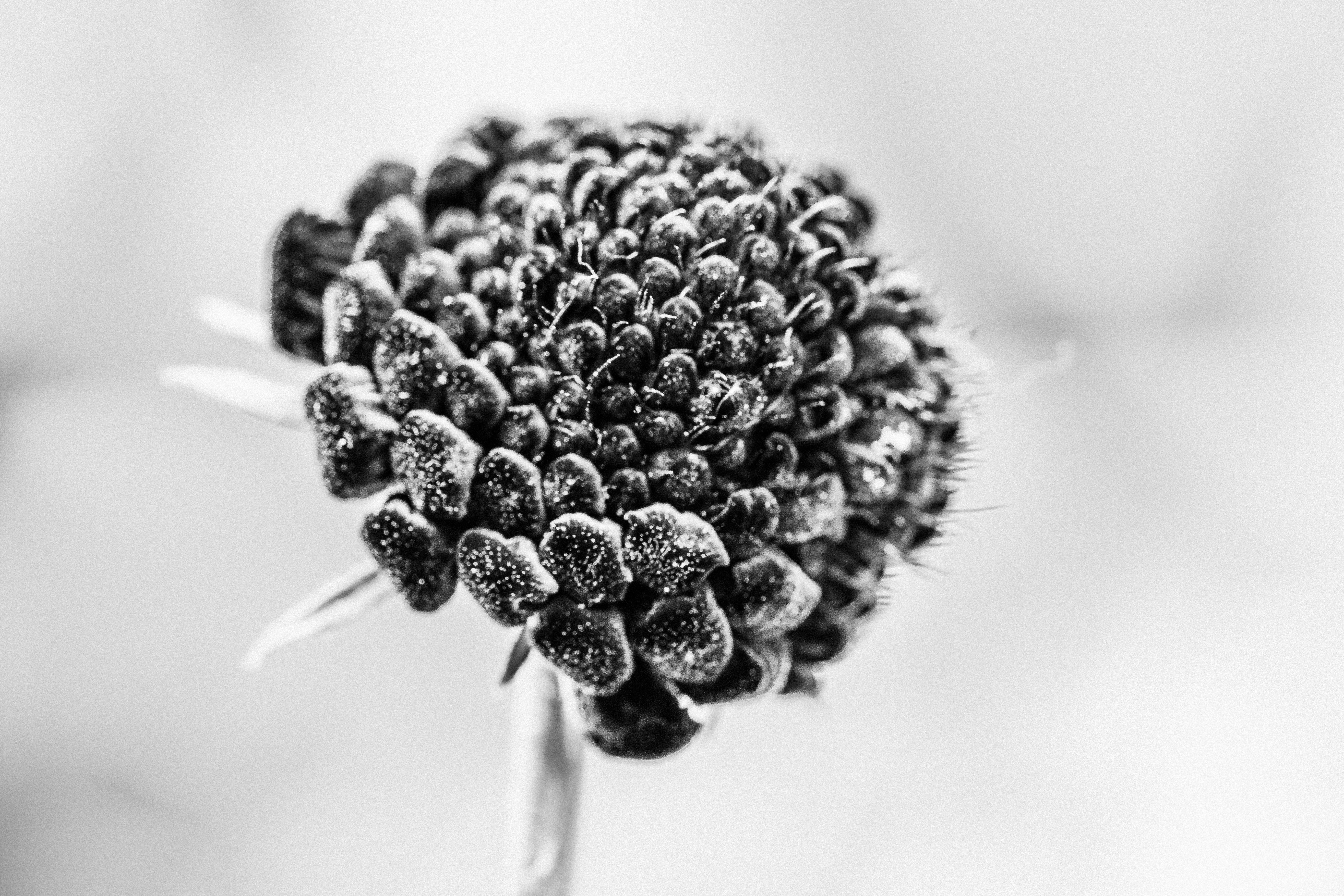 Photo by daniel_norin