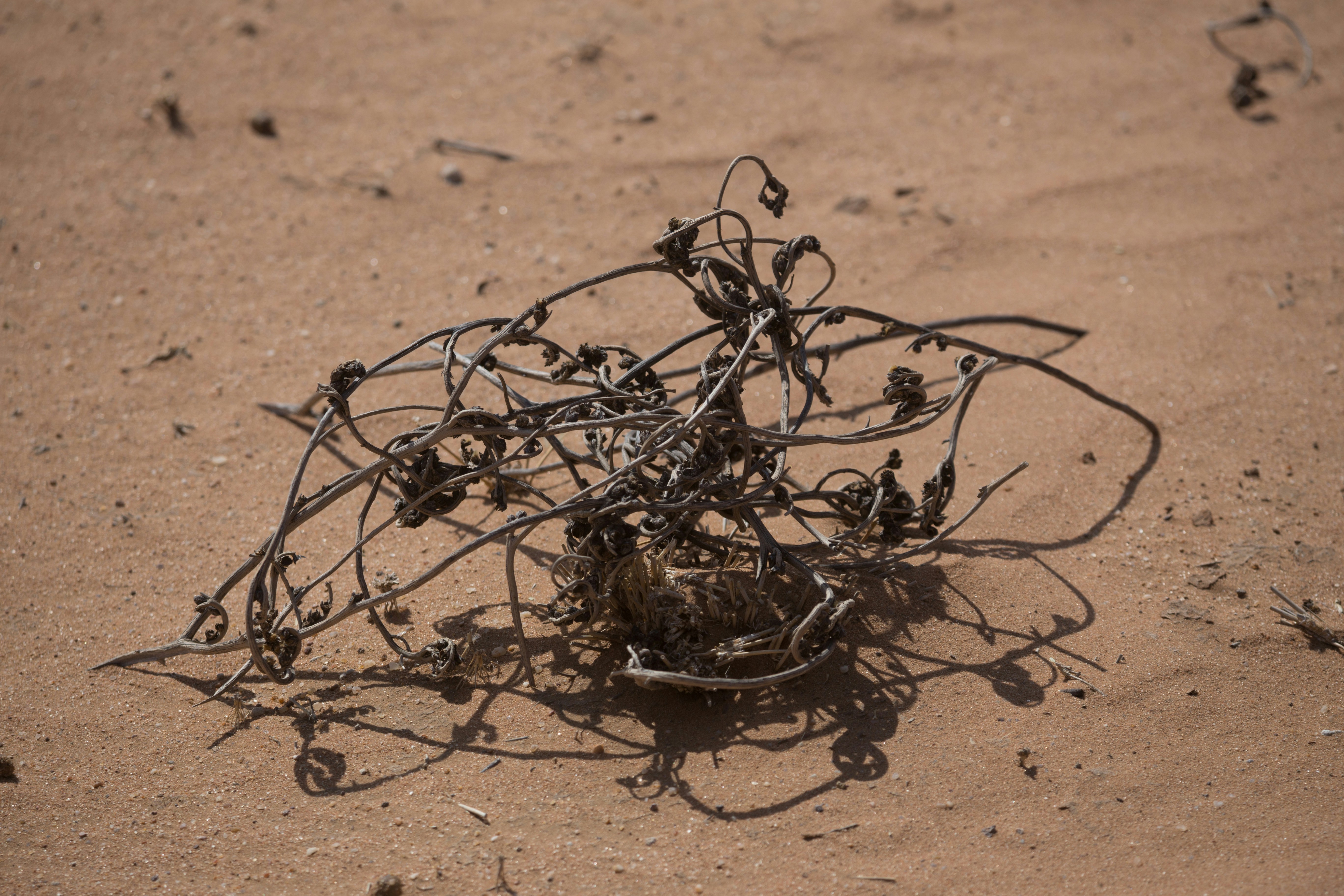 Drone Attack Hits Kuwait Refinery as Gulf Tensions Escalate