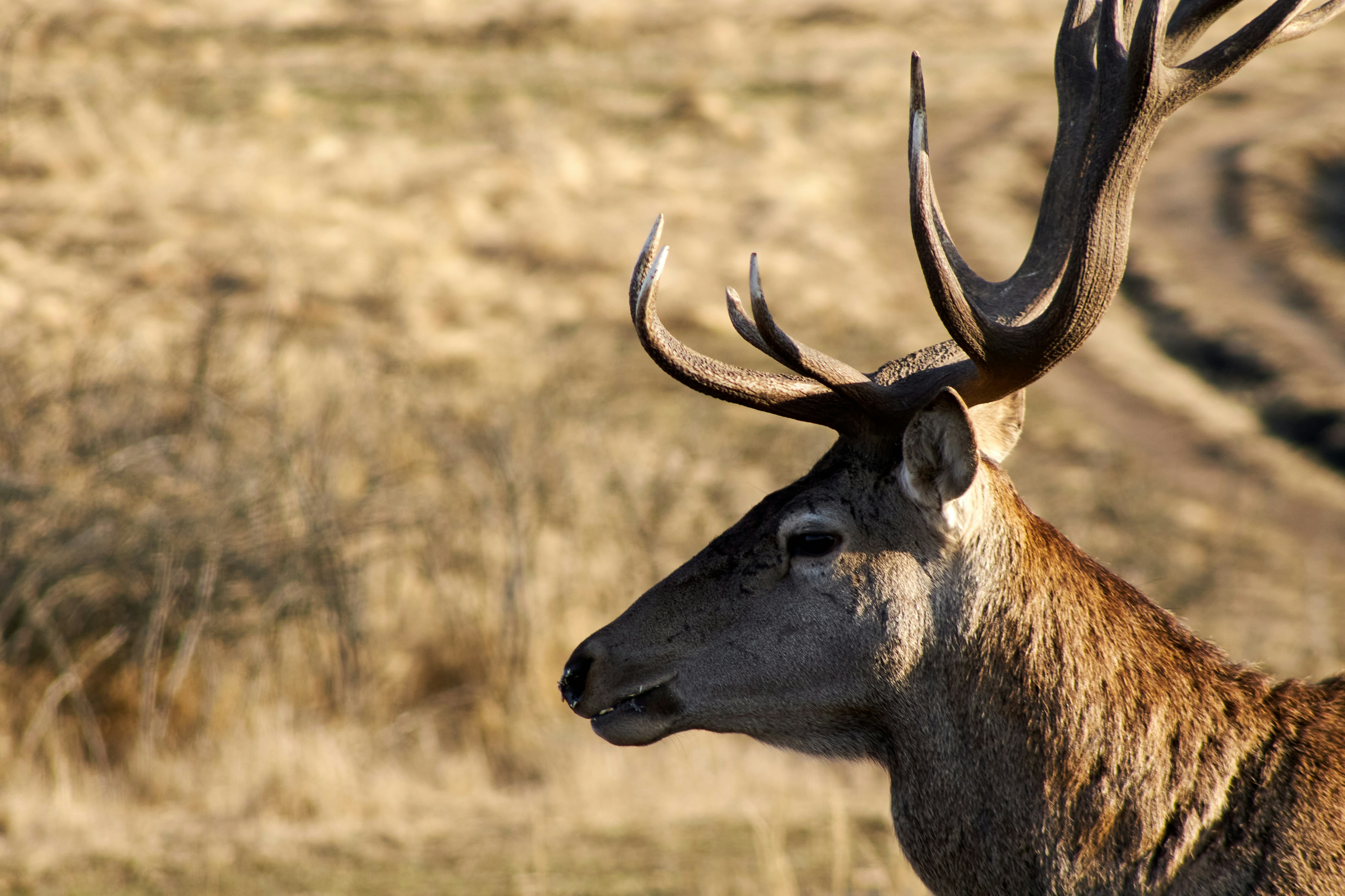 Photo by stabelwebel