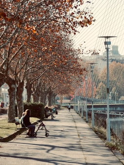 A serene park scene with a paved walkway lined by tall trees shedding their autumn leaves. Several people are seated on benches by the path, including a person with a walker. In the background, a bridge spans over a body of water, and modern buildings are visible across the river. Lamp posts are evenly spaced along the path, adding to the peaceful atmosphere.