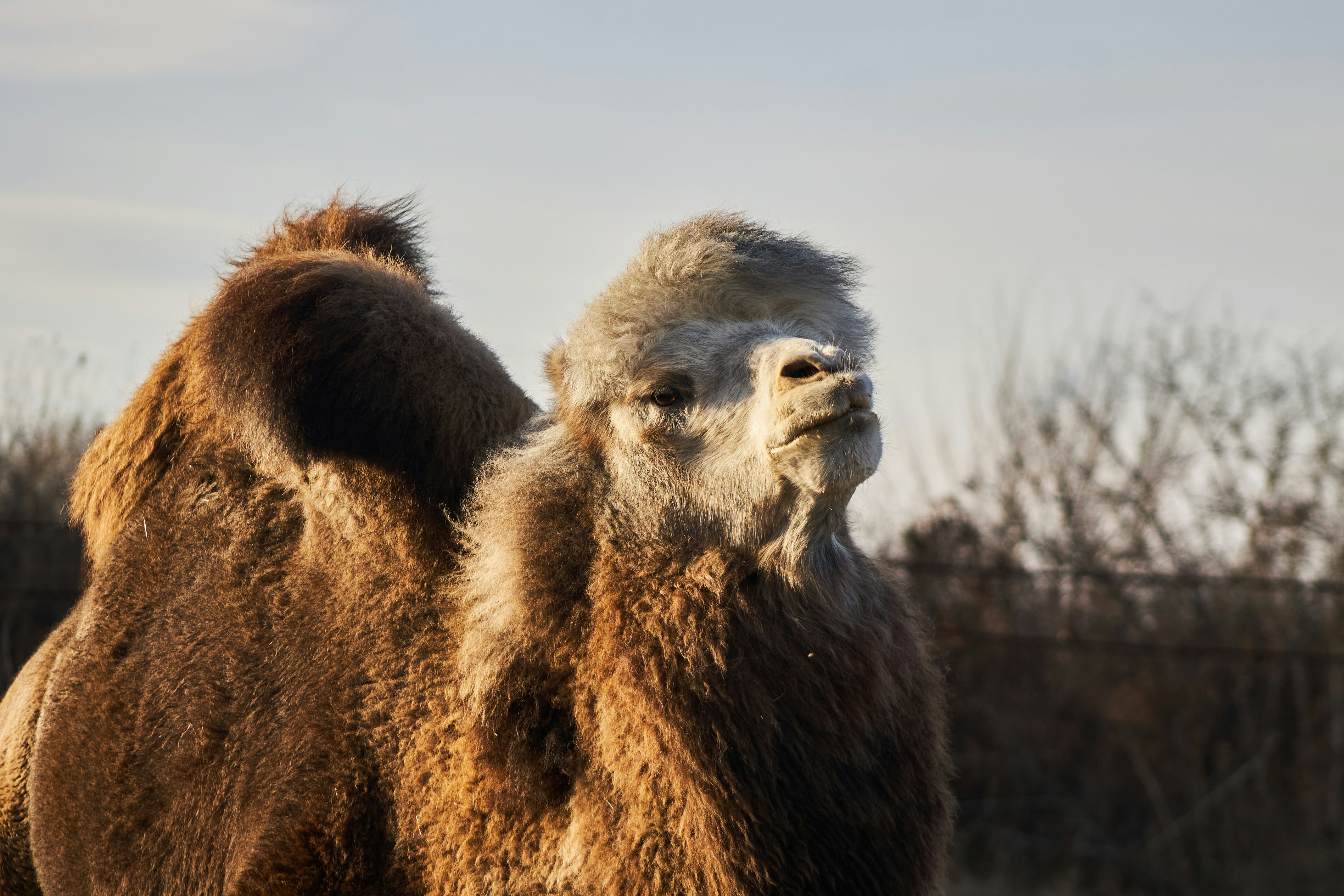 Photo by stabelwebel