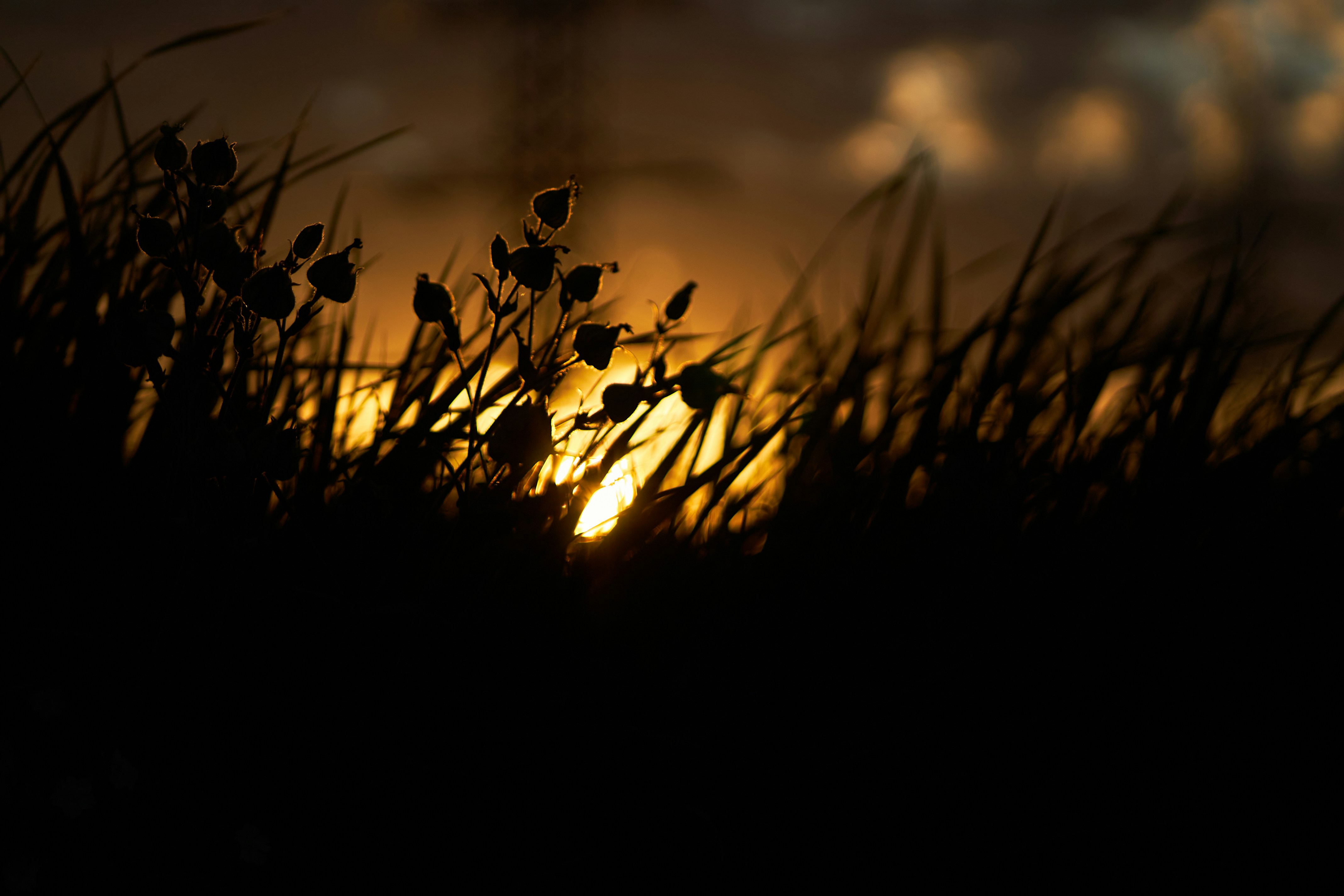 Photo by stabelwebel