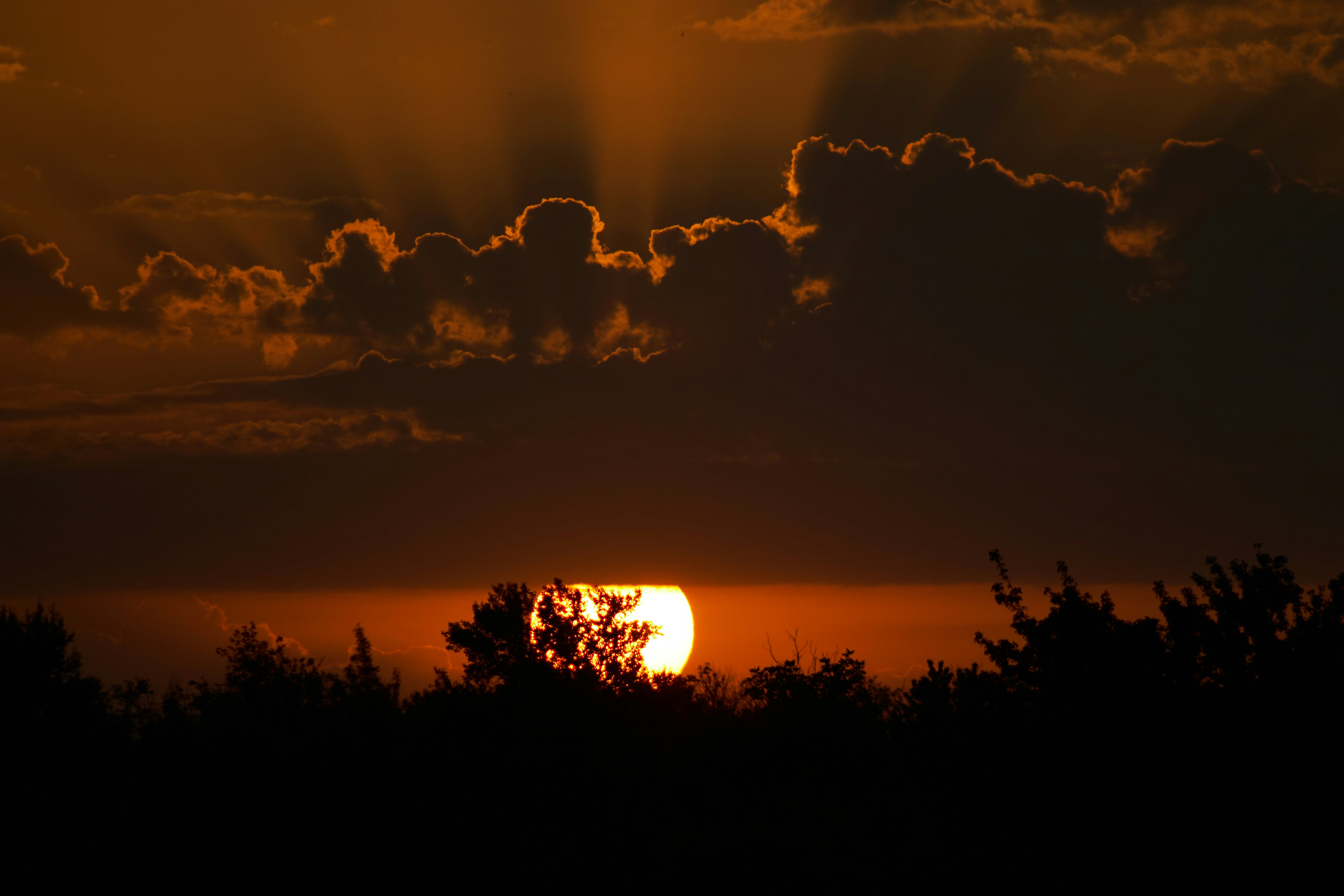 Photo by stabelwebel