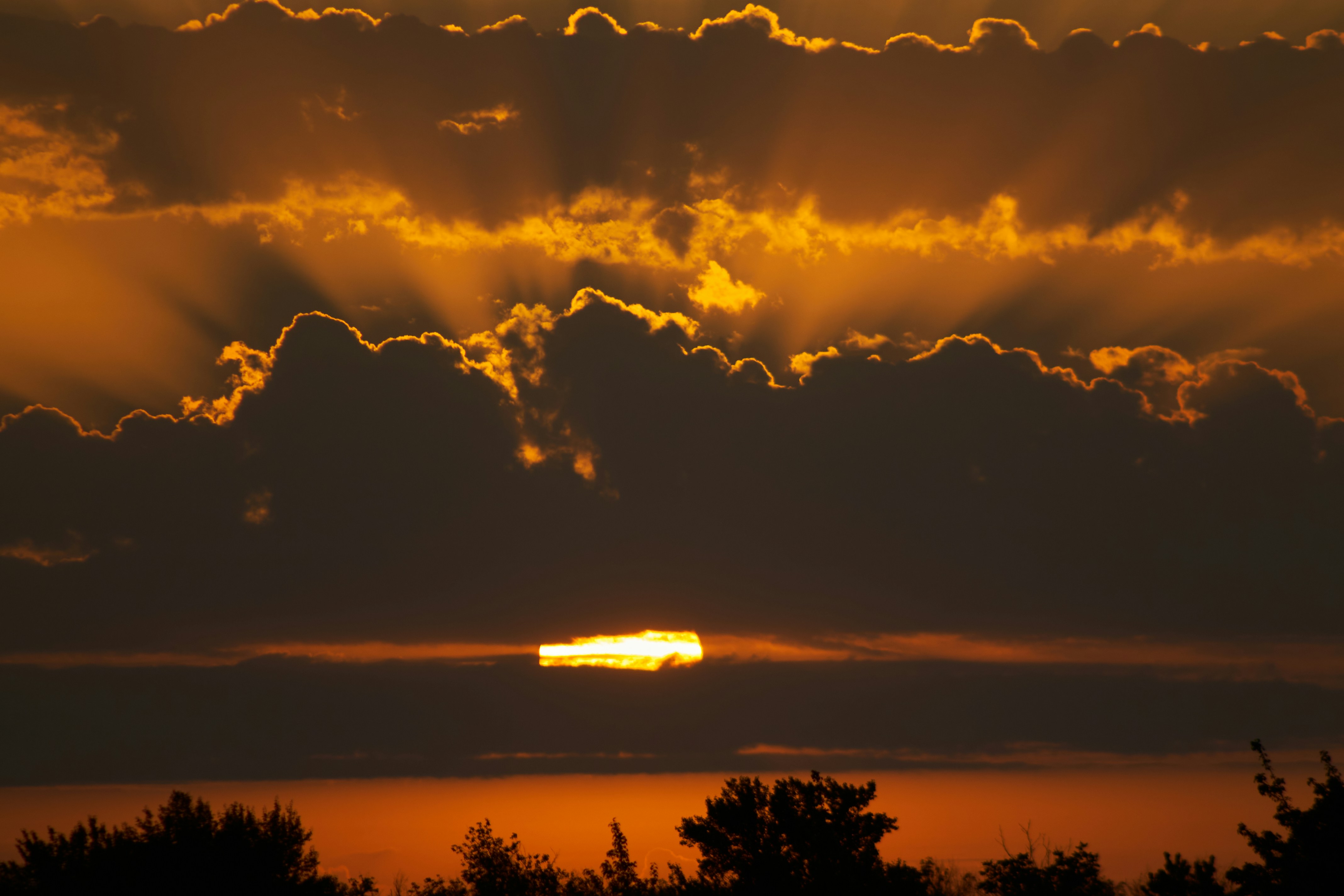 Photo by stabelwebel