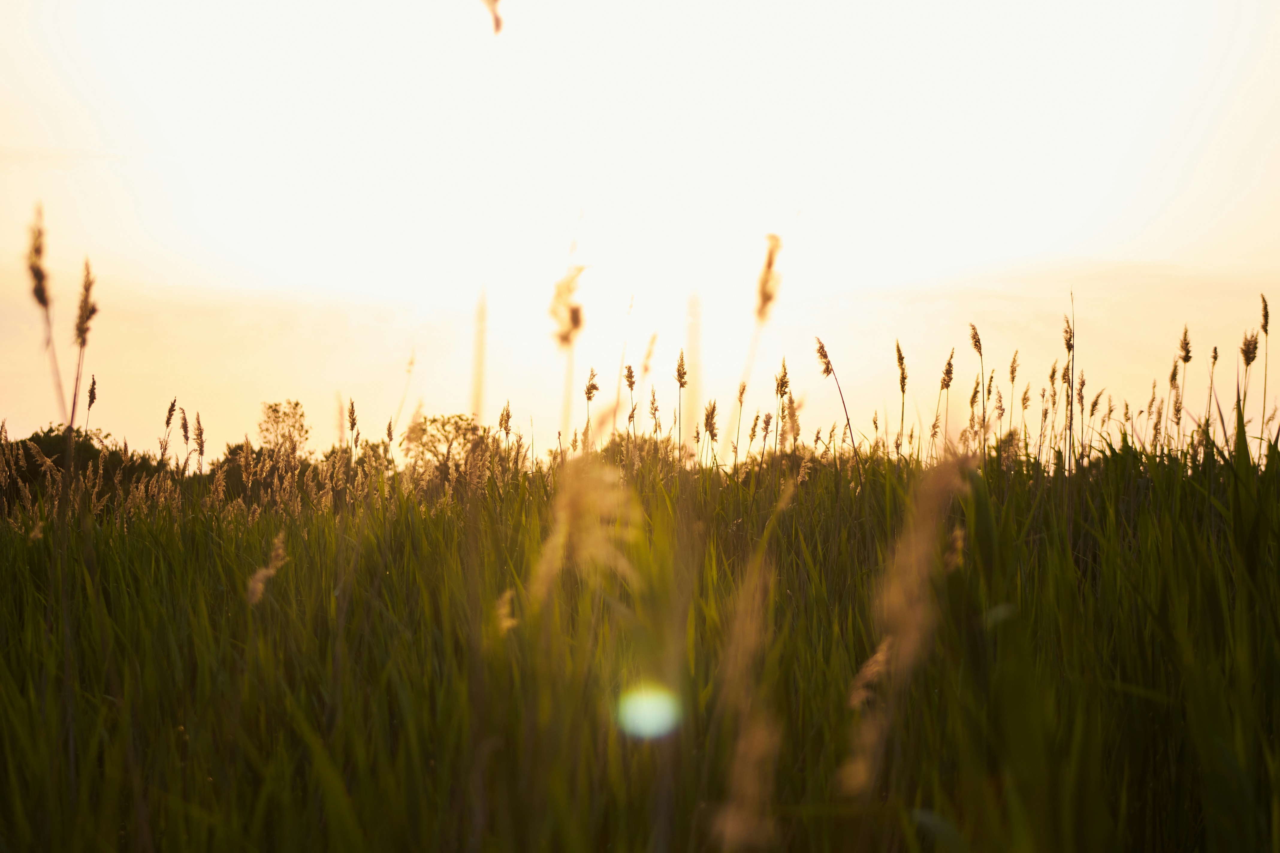 Photo by stabelwebel