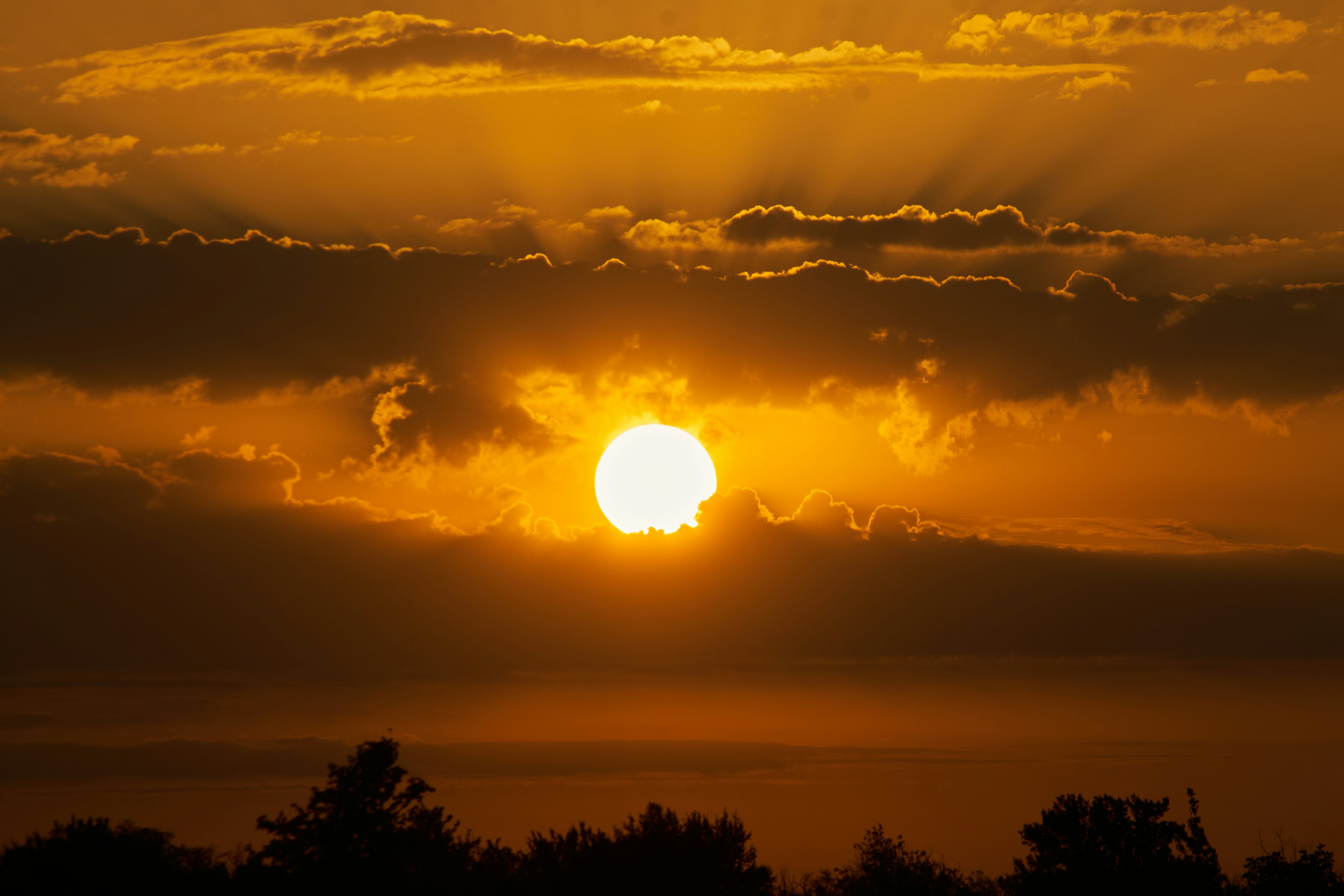 Photo by stabelwebel