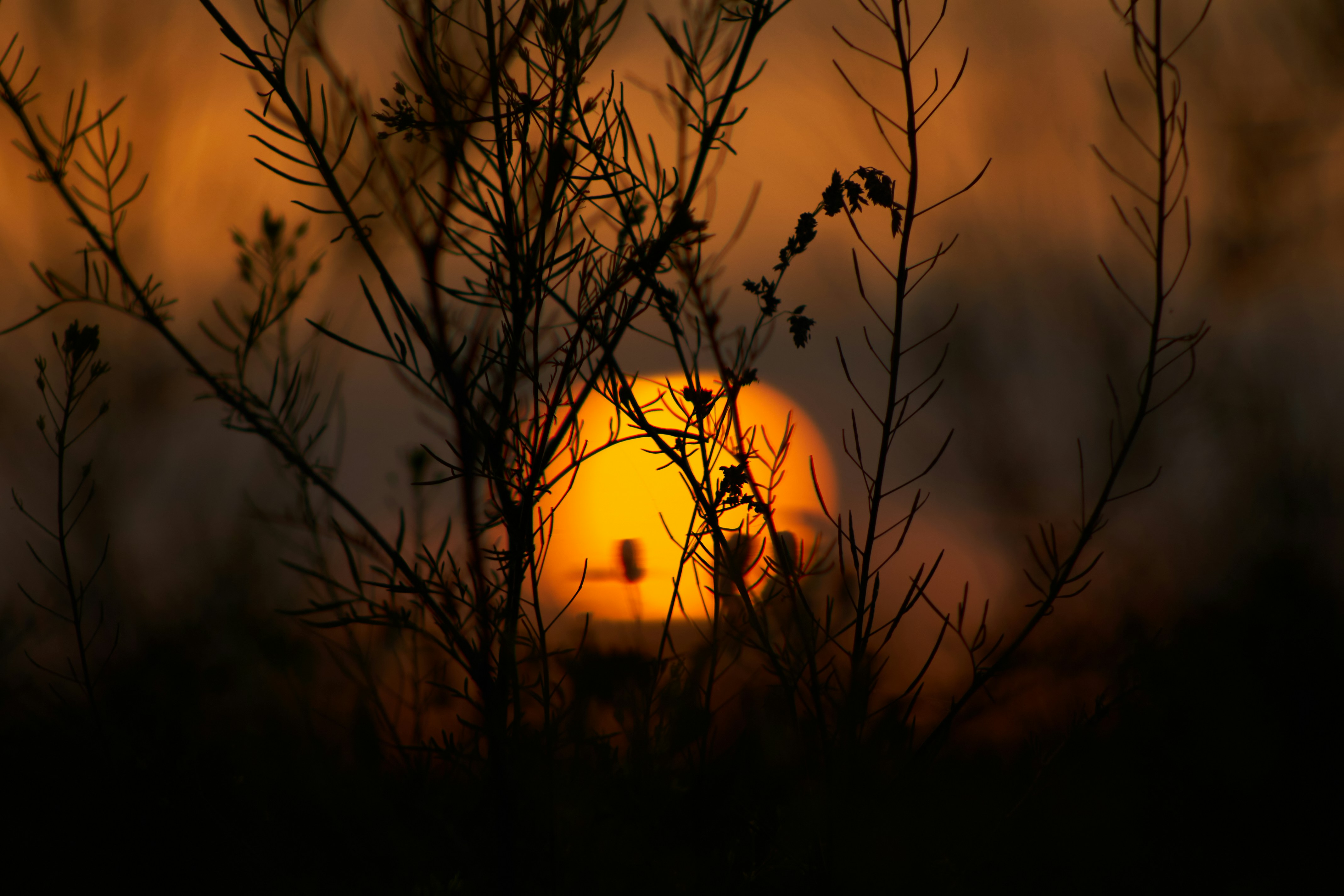 Photo by stabelwebel