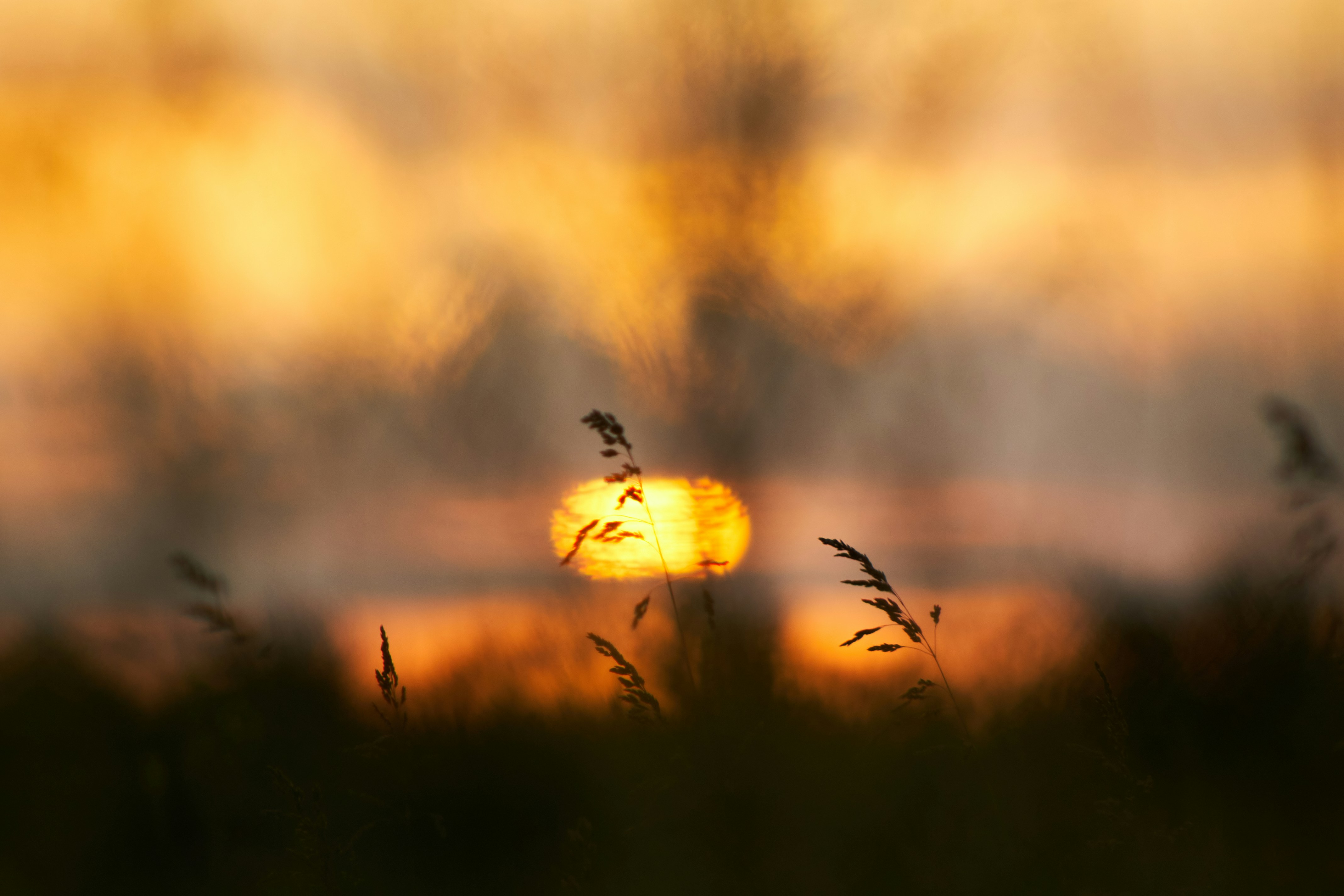 Photo by stabelwebel