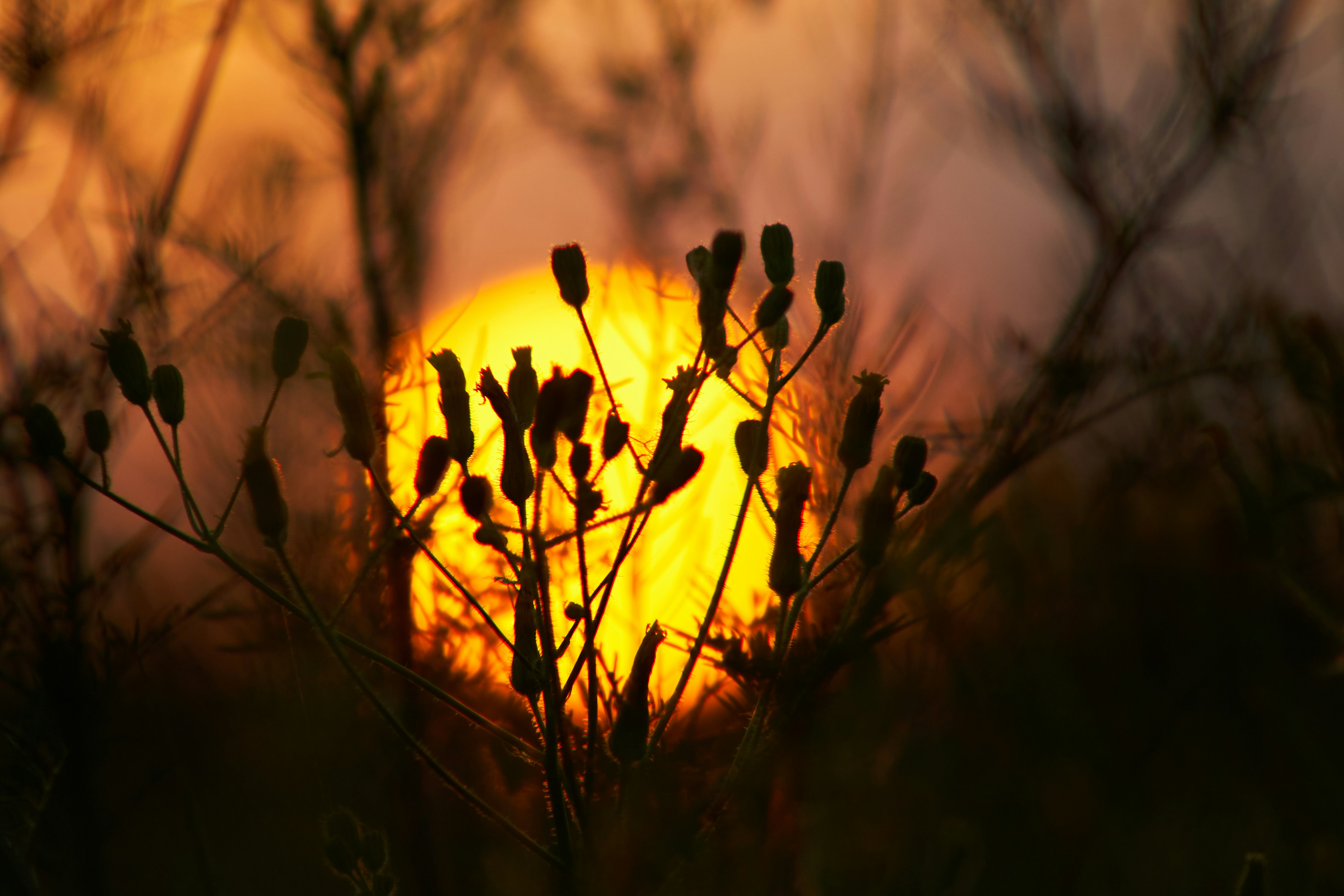 Photo by stabelwebel