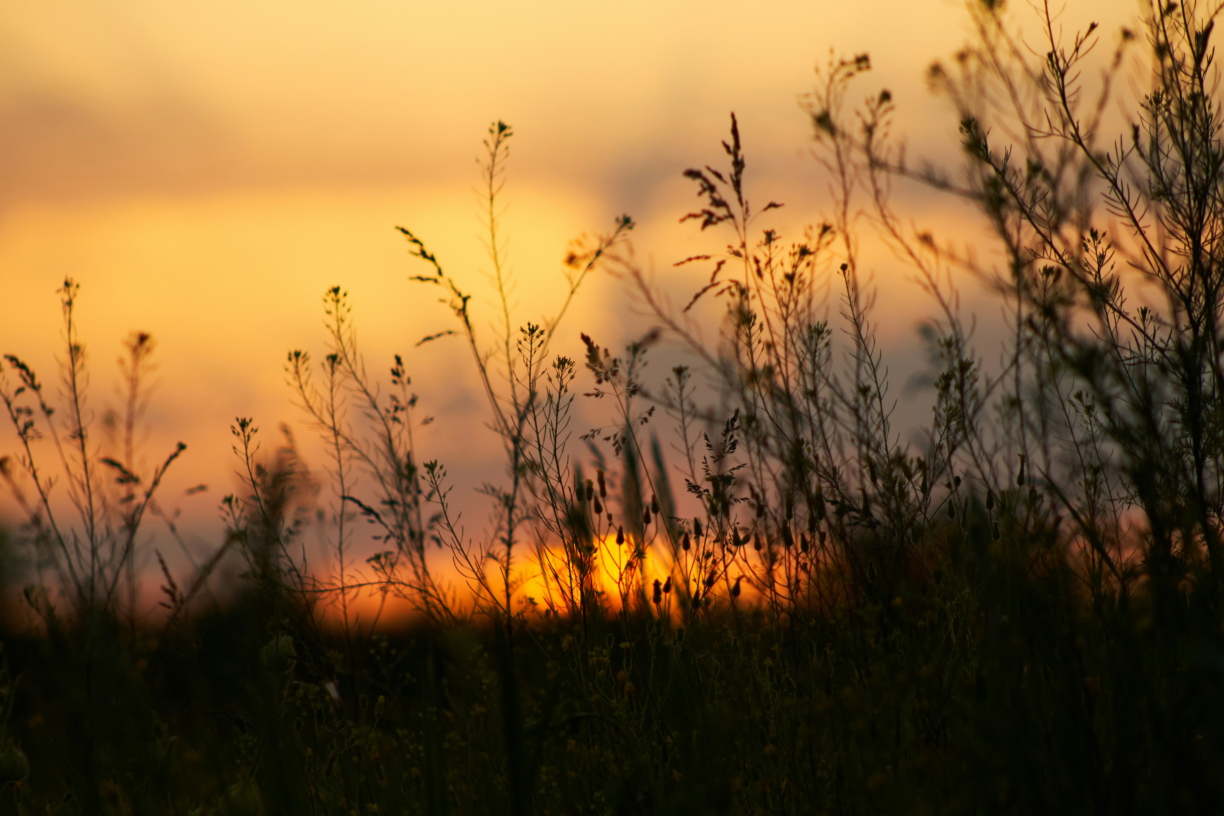 Photo by stabelwebel