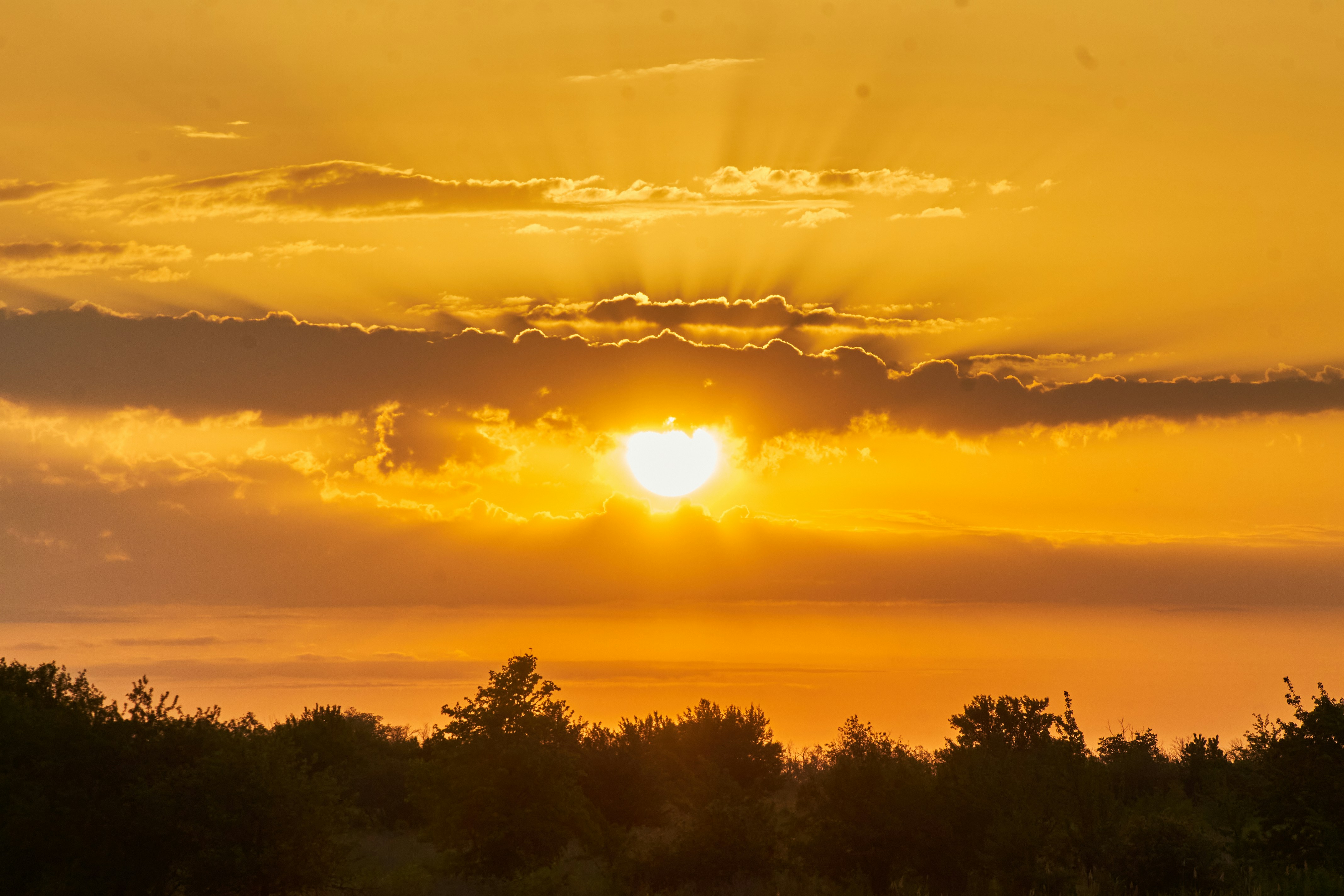 Photo by stabelwebel